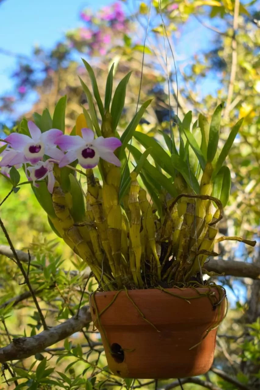 Pousada do Guinda DIAMANTINA -MG