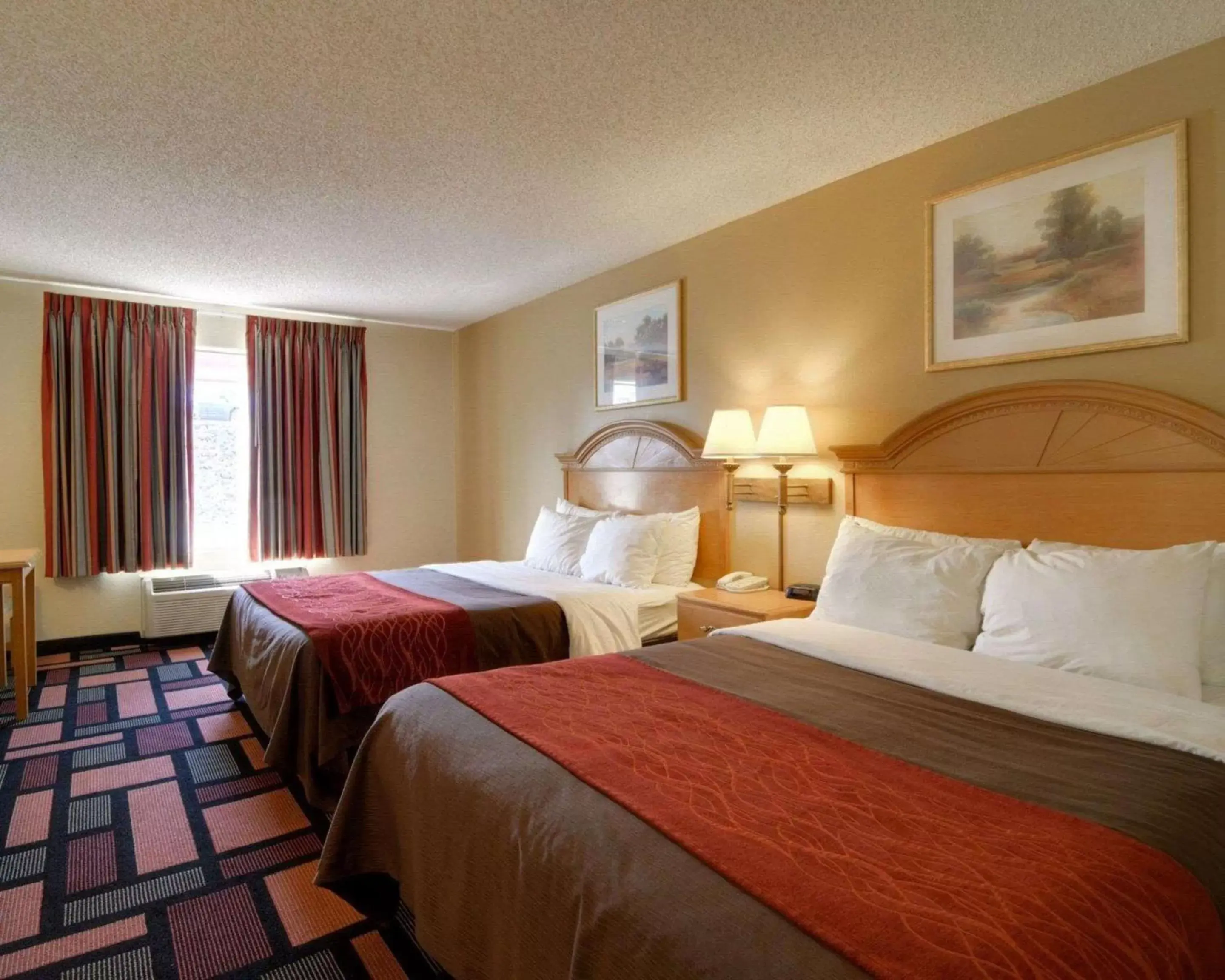 Photo of the whole room, Bed in Quality Inn & Suites