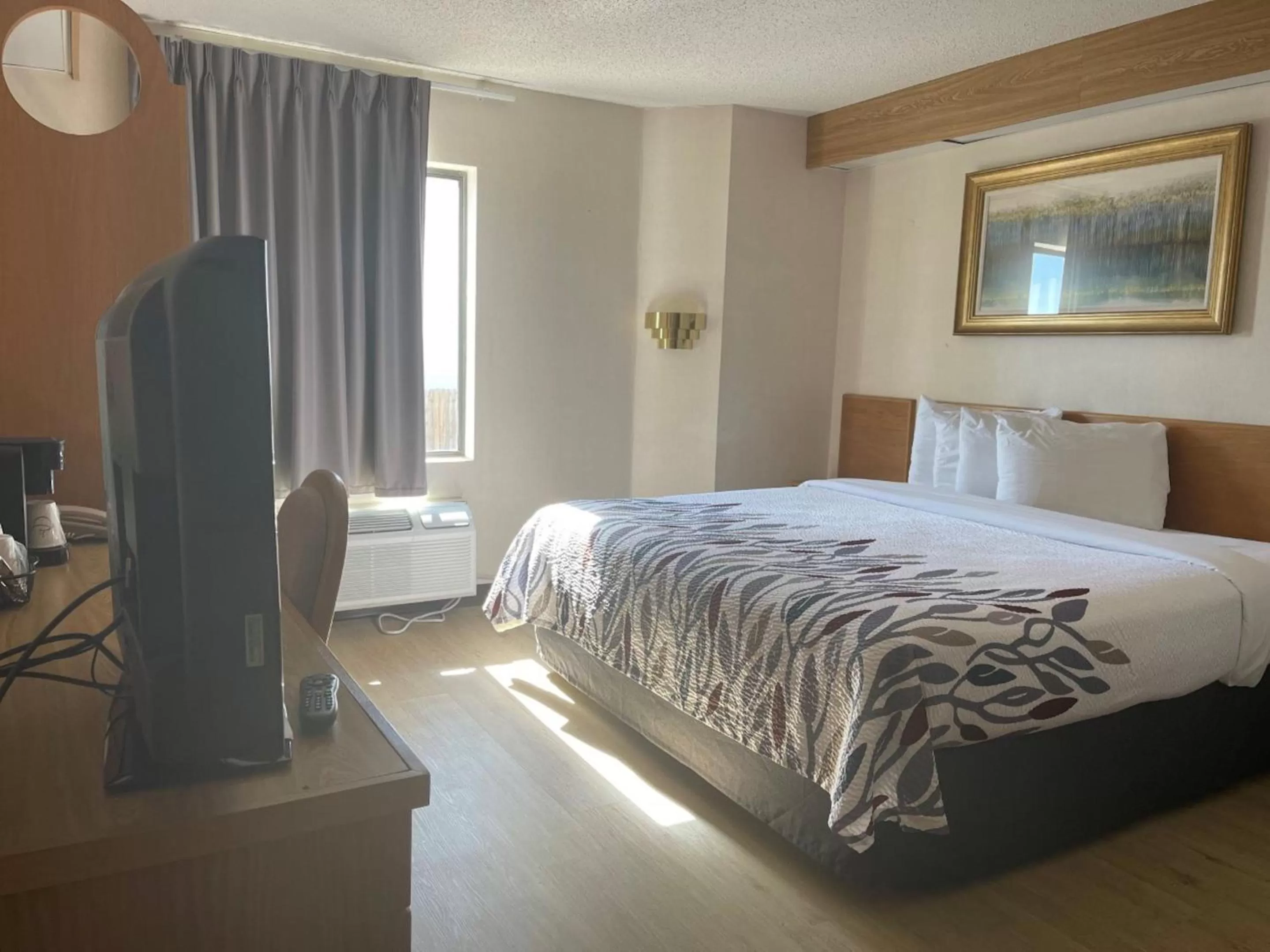 Photo of the whole room, Bed in Red Roof Inn Branson