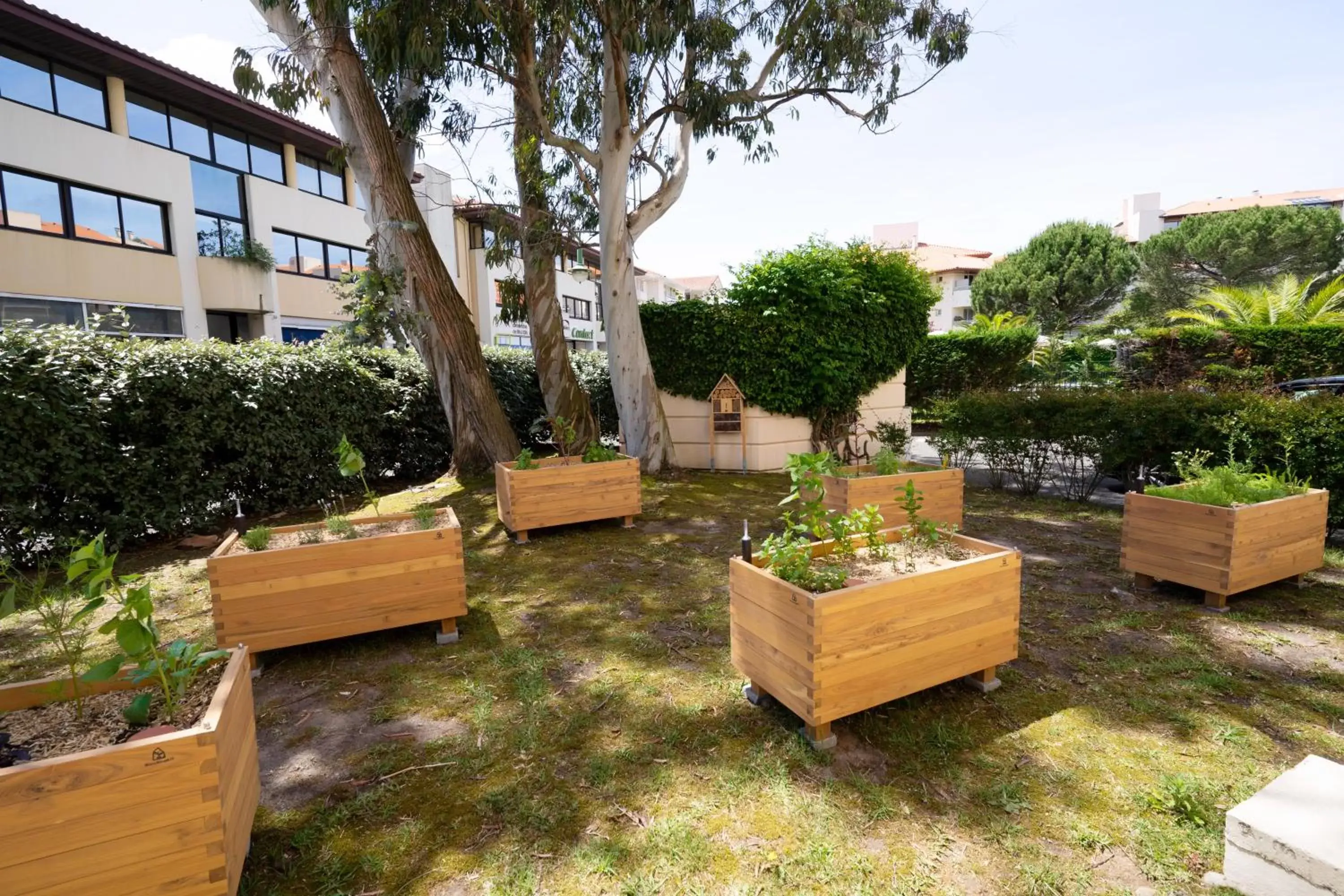 Garden, Property Building in Hôtel Littéraire Jules Verne, BW Signature Collection