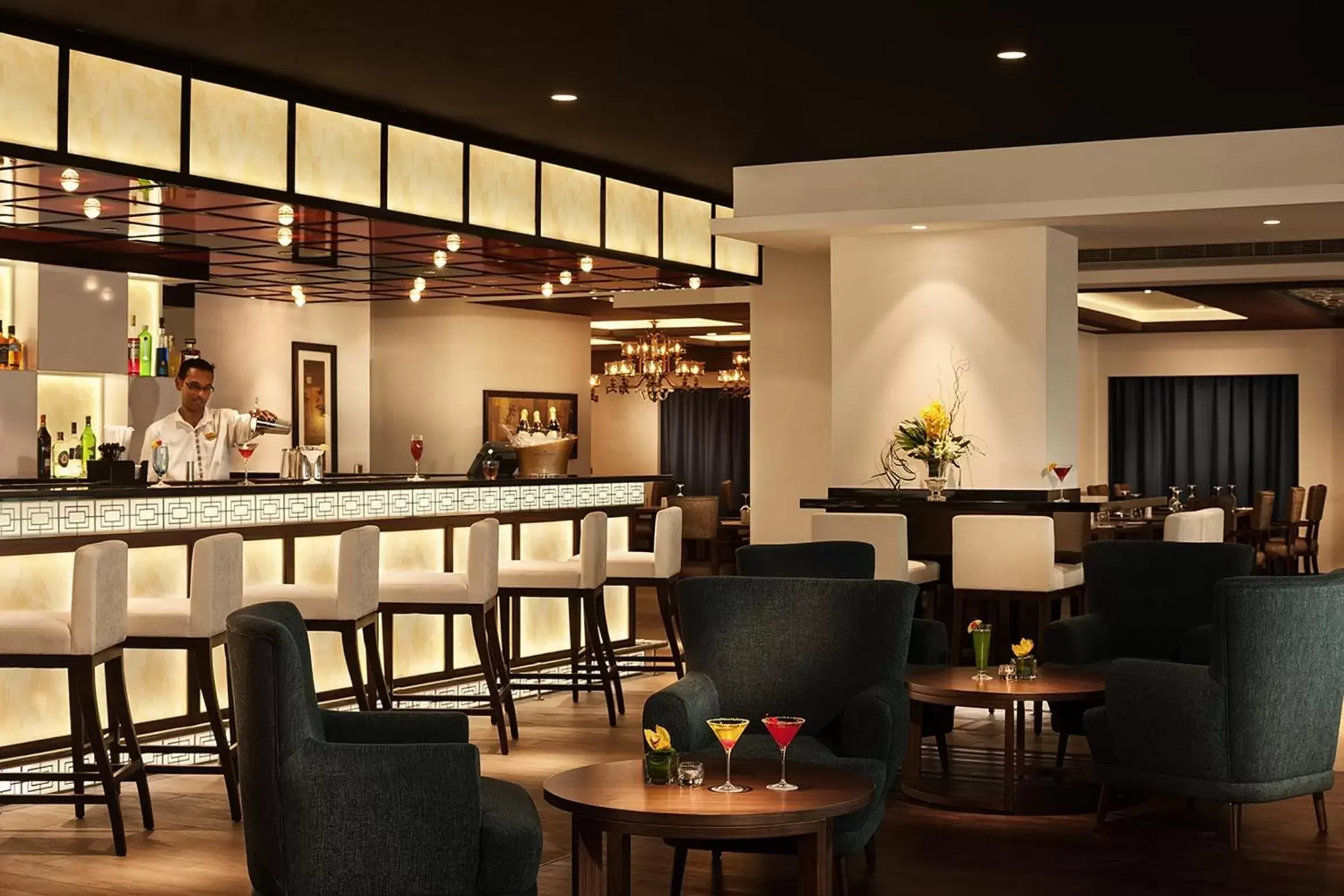 Lounge or bar, Restaurant/Places to Eat in Carlton Downtown Hotel