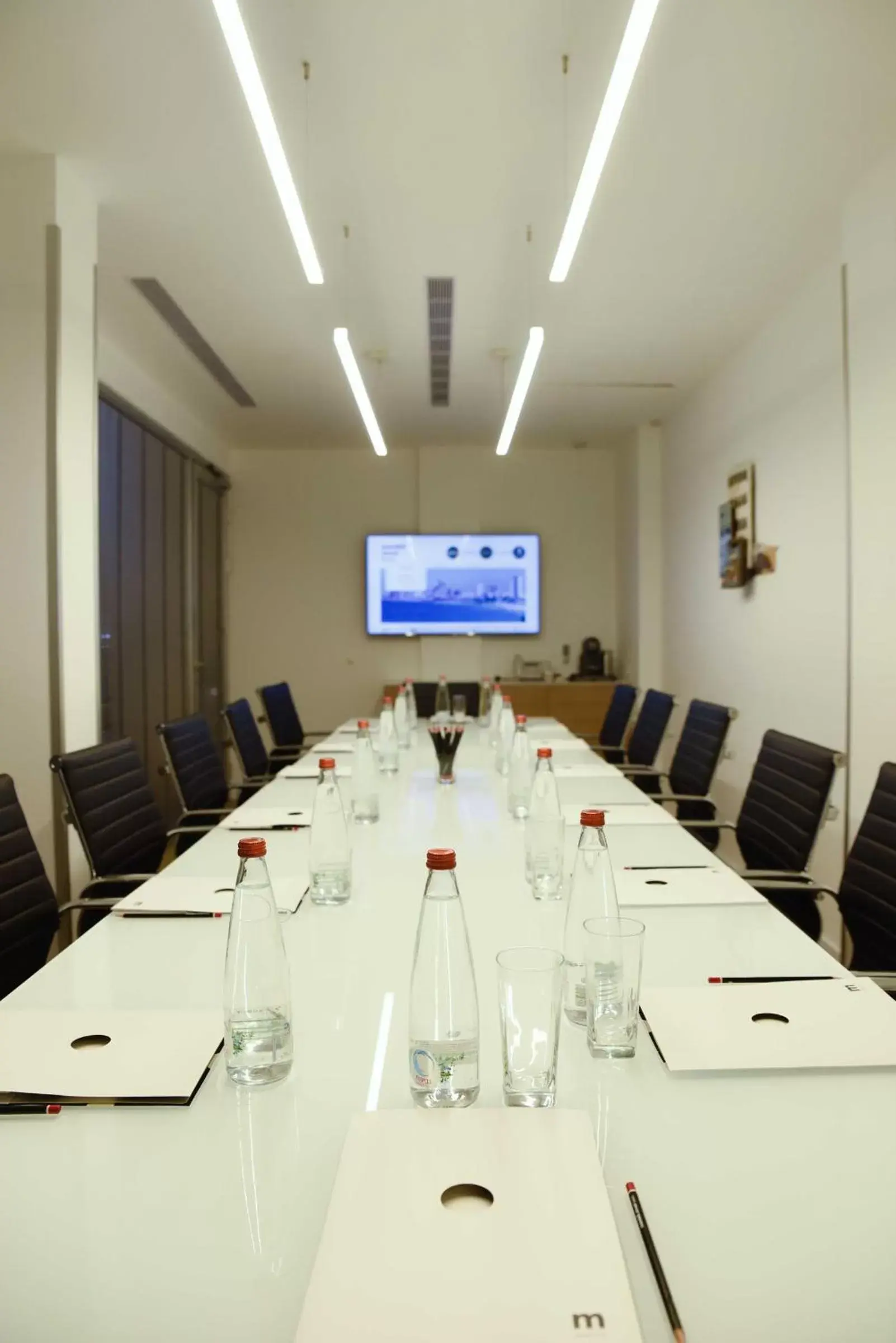 Meeting/conference room in Mendeli Street Hotel