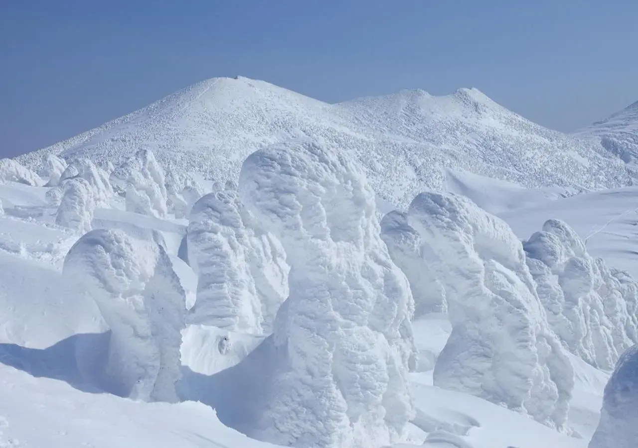 Nearby landmark, Winter in Apa Hotel Aomori-Eki Kencho-Dori