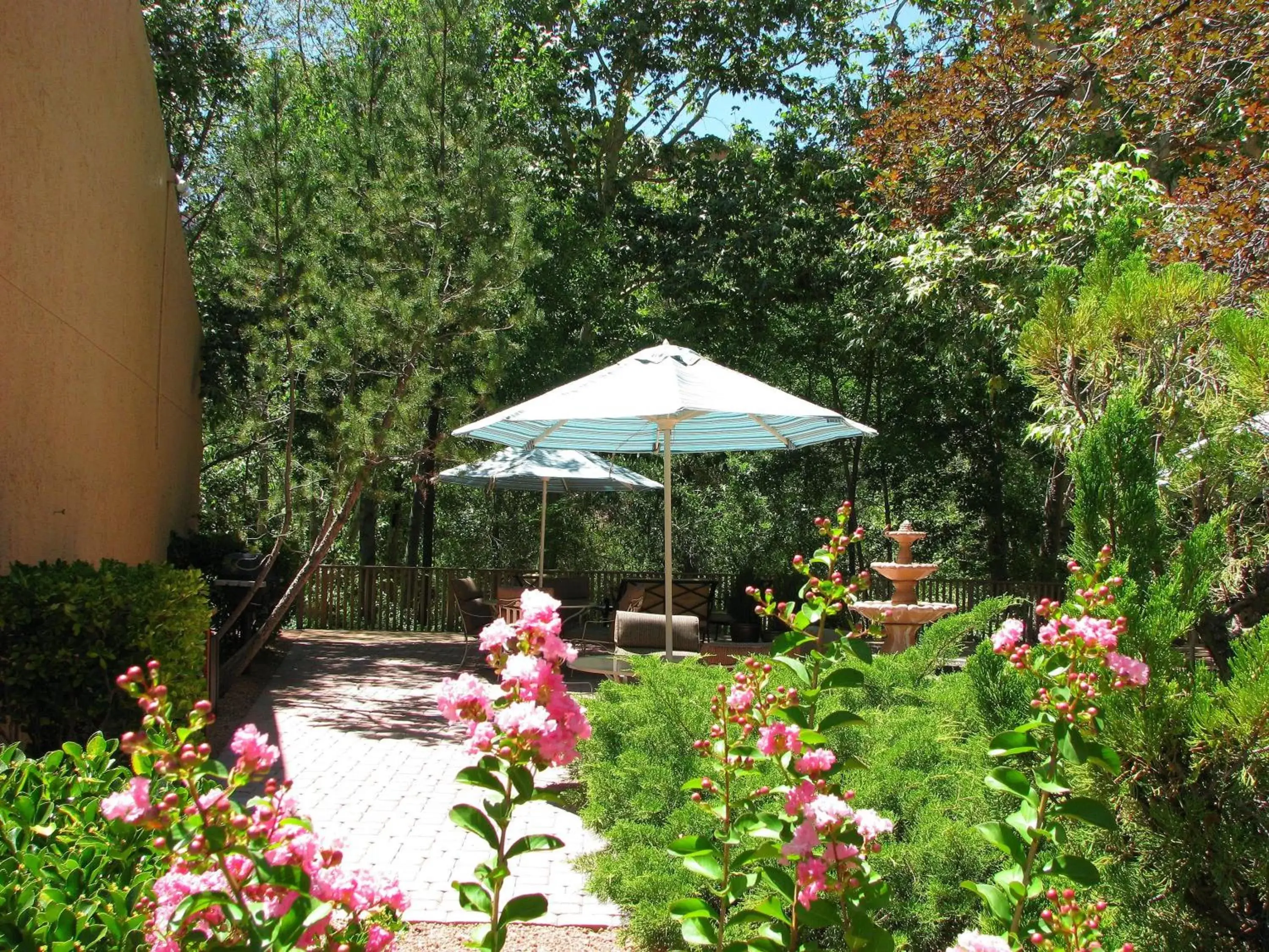 Garden in Villas at Poco Diablo, a VRI resort