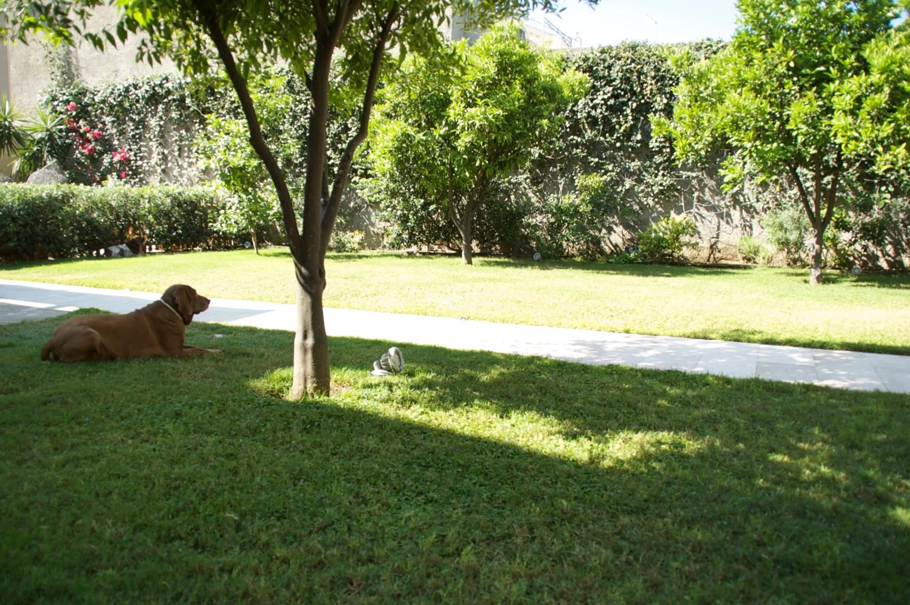 Garden in La Peonia Boutique B&B