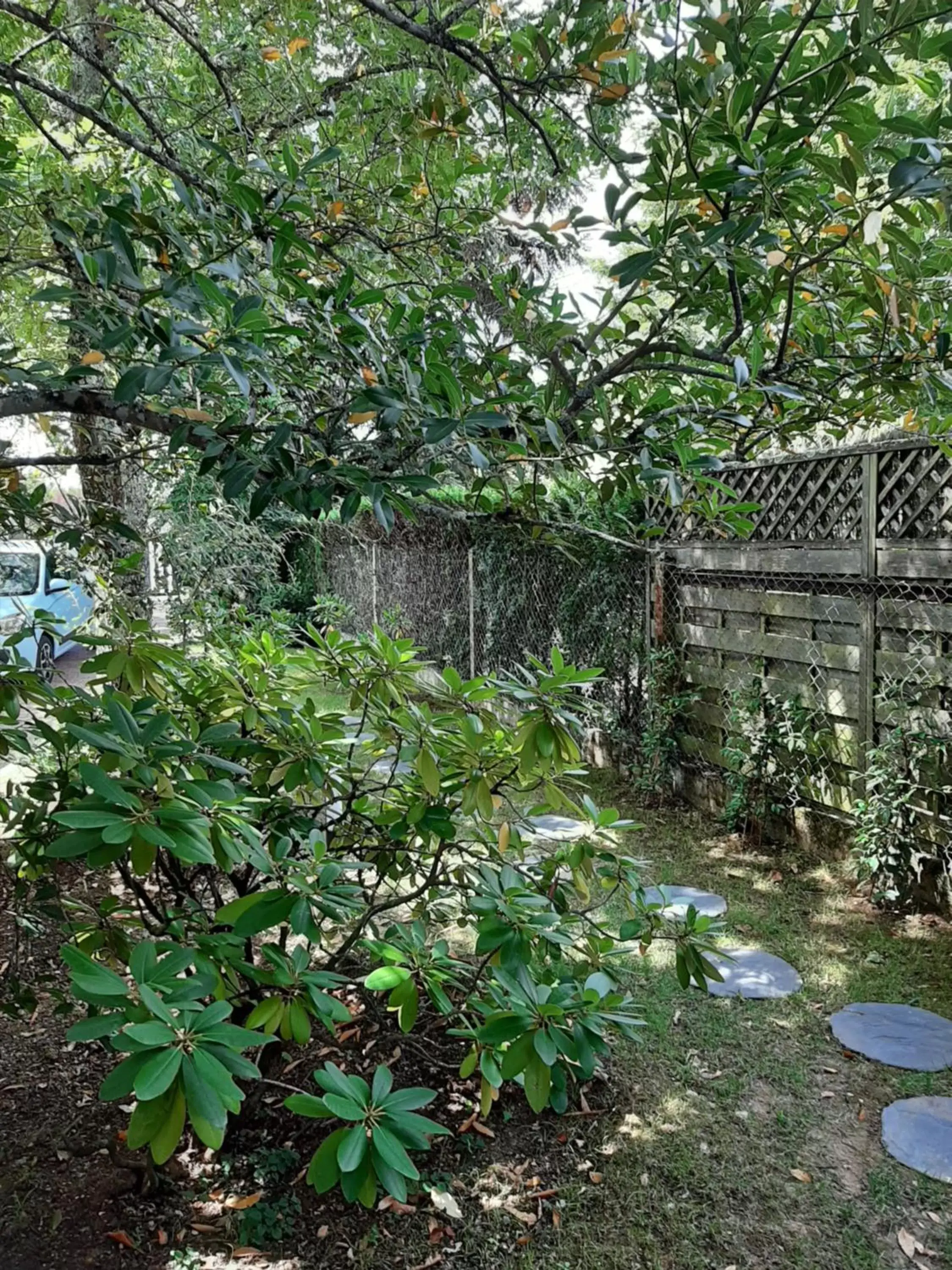 Garden in SAKURA