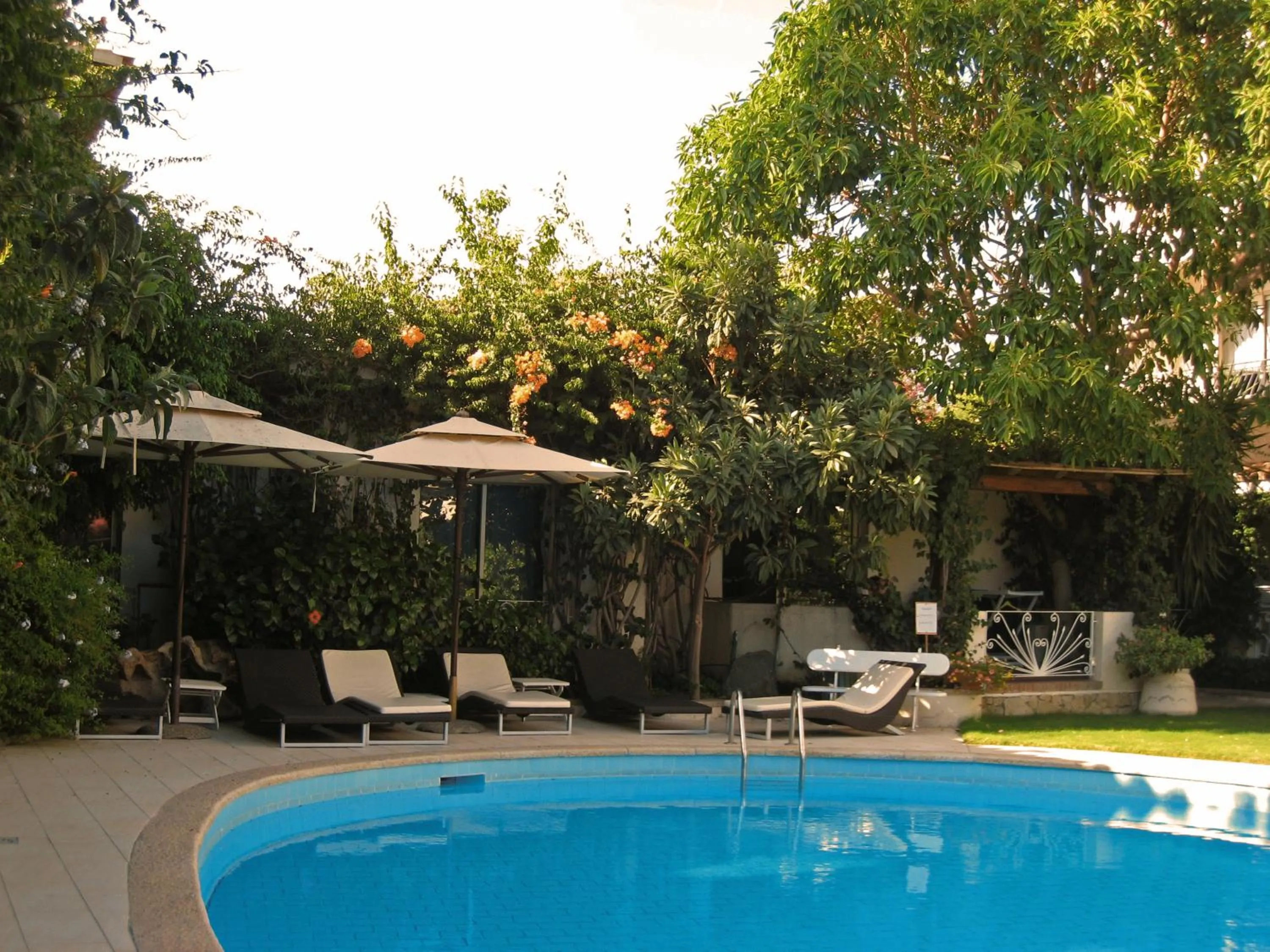 Swimming pool in Hotel Simius Playa