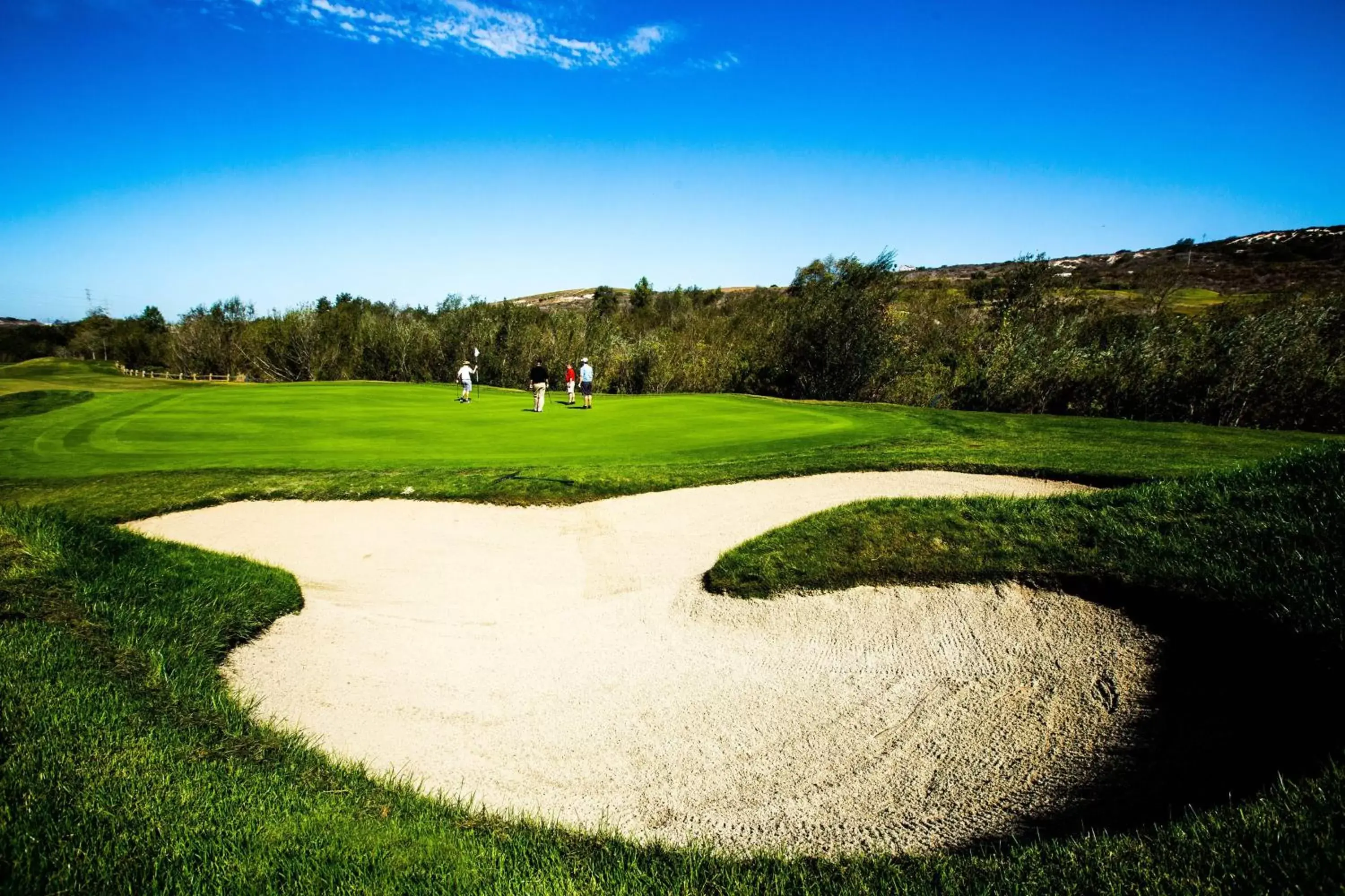 Golfcourse, Golf in Sheraton Carlsbad Resort & Spa