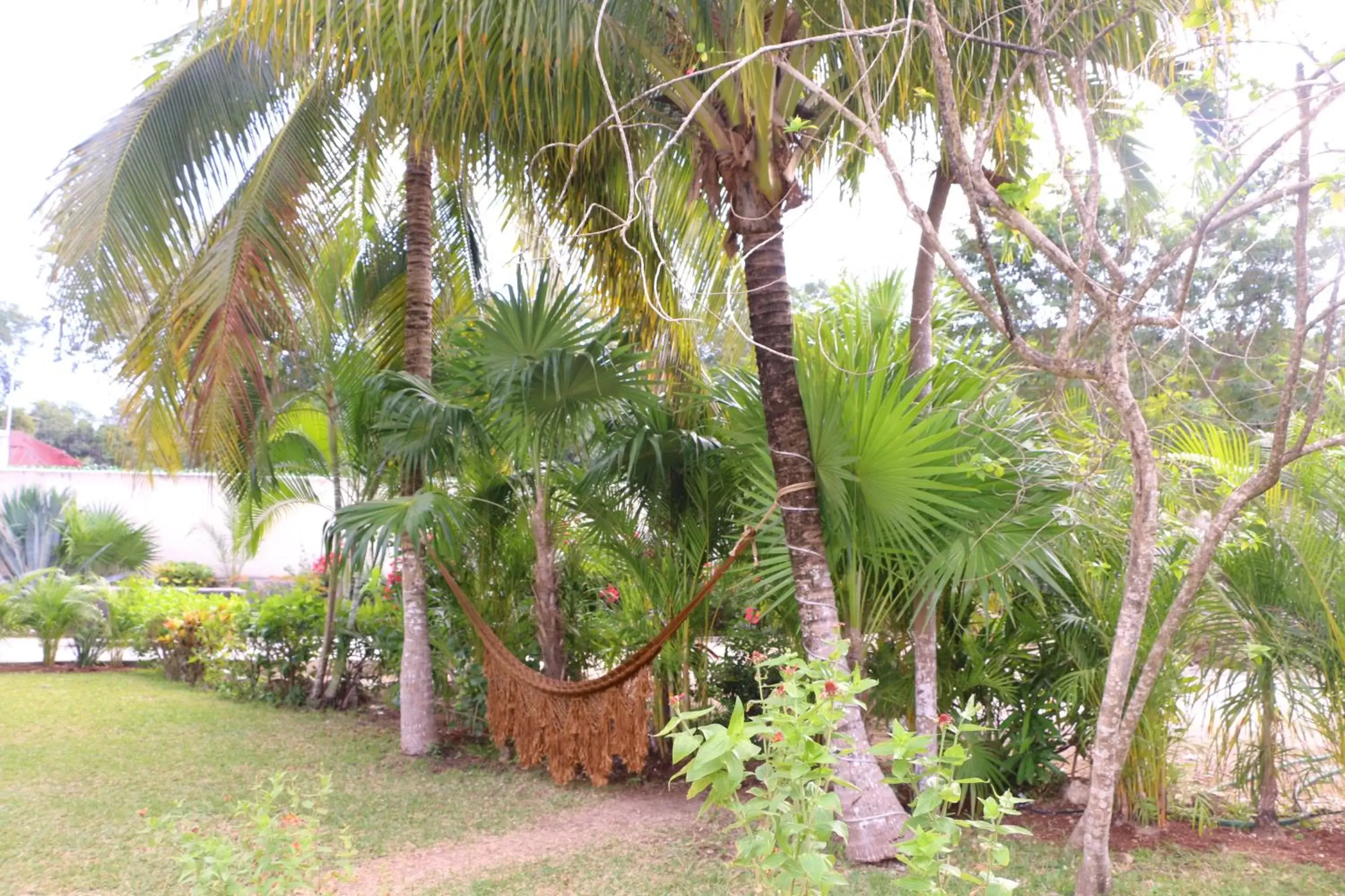 Spring, Garden in WishTulum