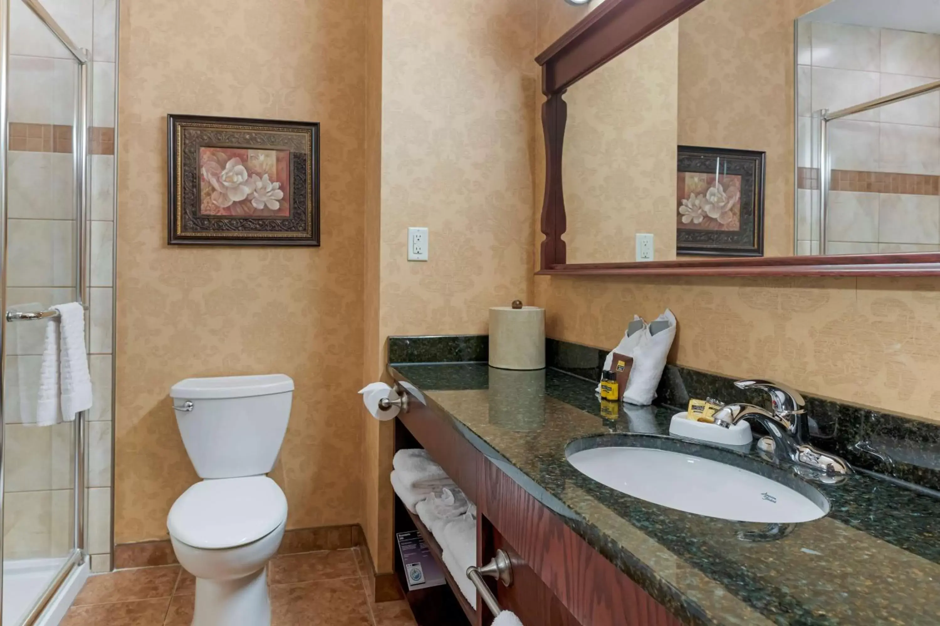 Bathroom in Best Western Plus Fredericton Hotel & Suites