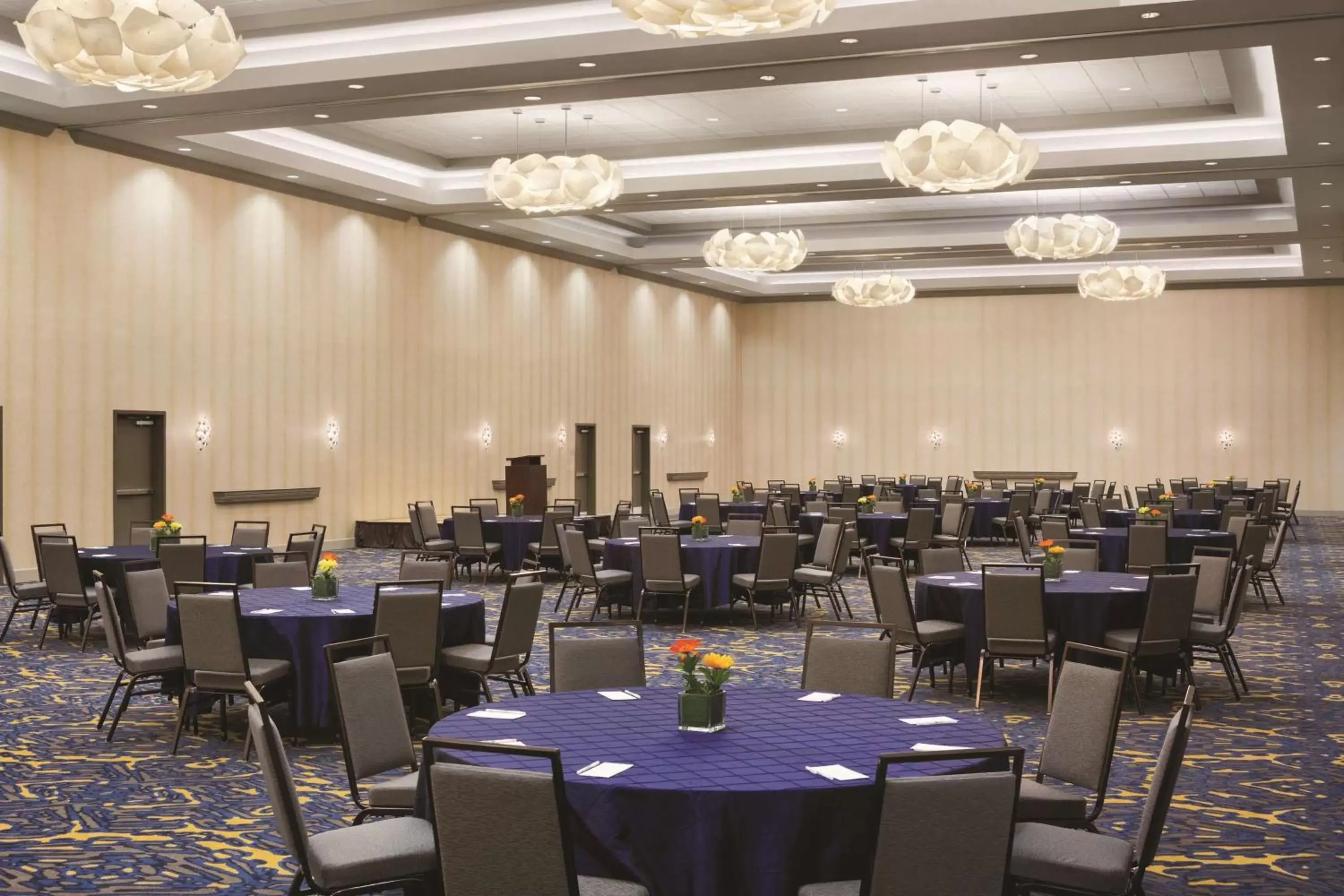 Meeting/conference room, Restaurant/Places to Eat in Embassy Suites by Hilton McAllen Convention Center