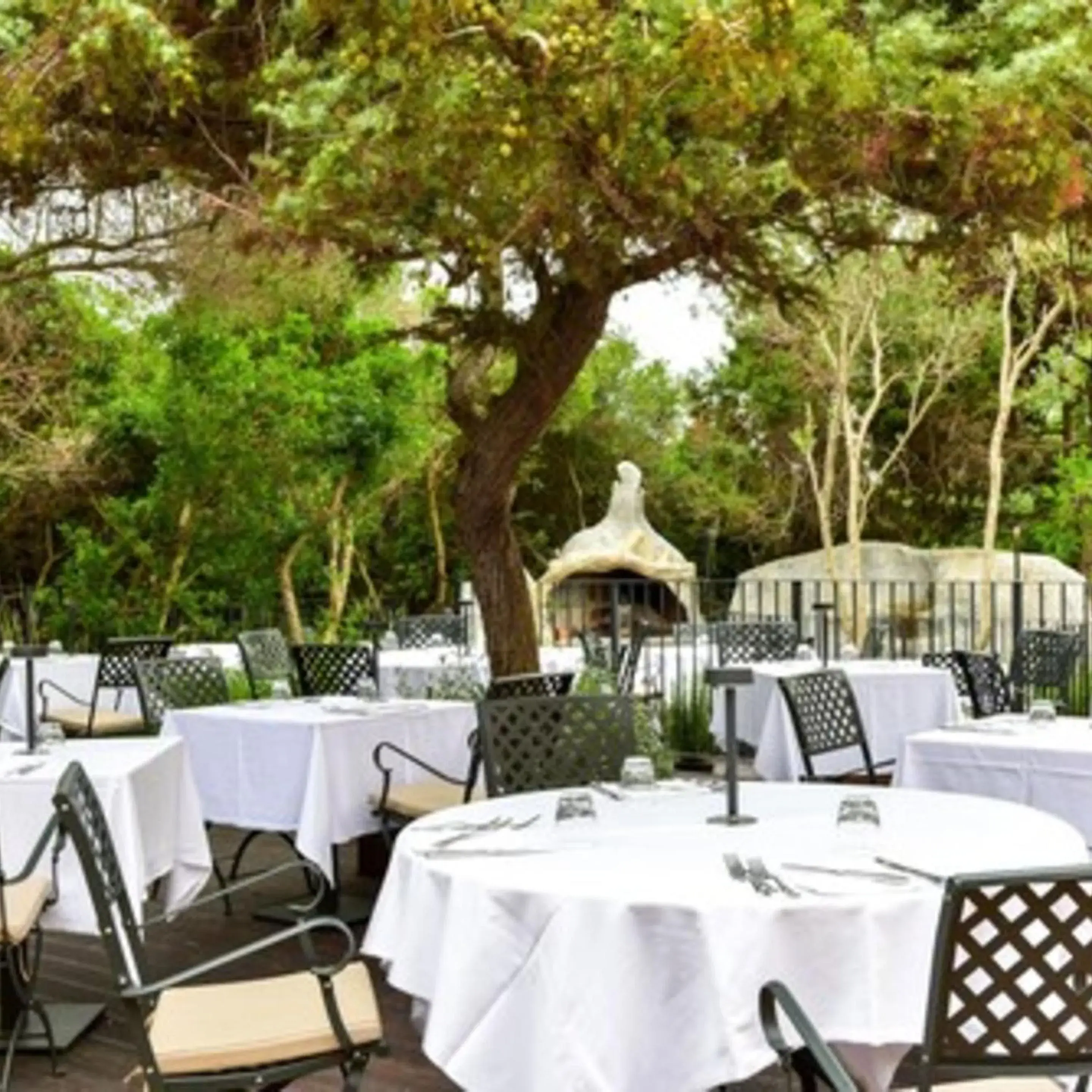 Restaurant/Places to Eat in Hotel Cala Caterina