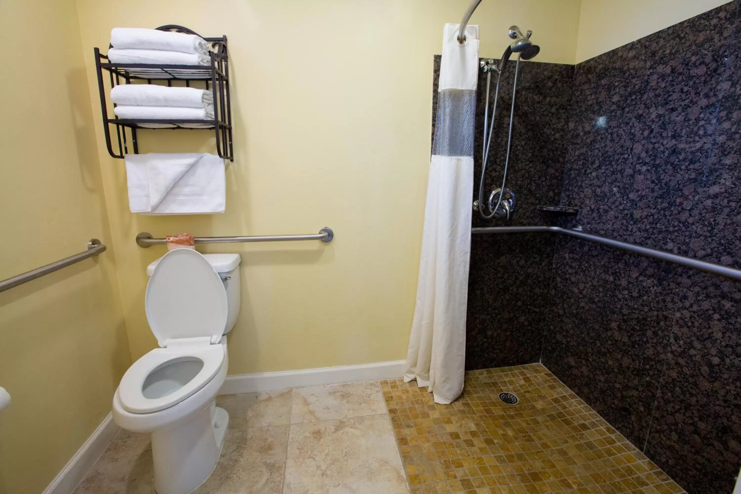 Shower, Bathroom in Aloha Inn