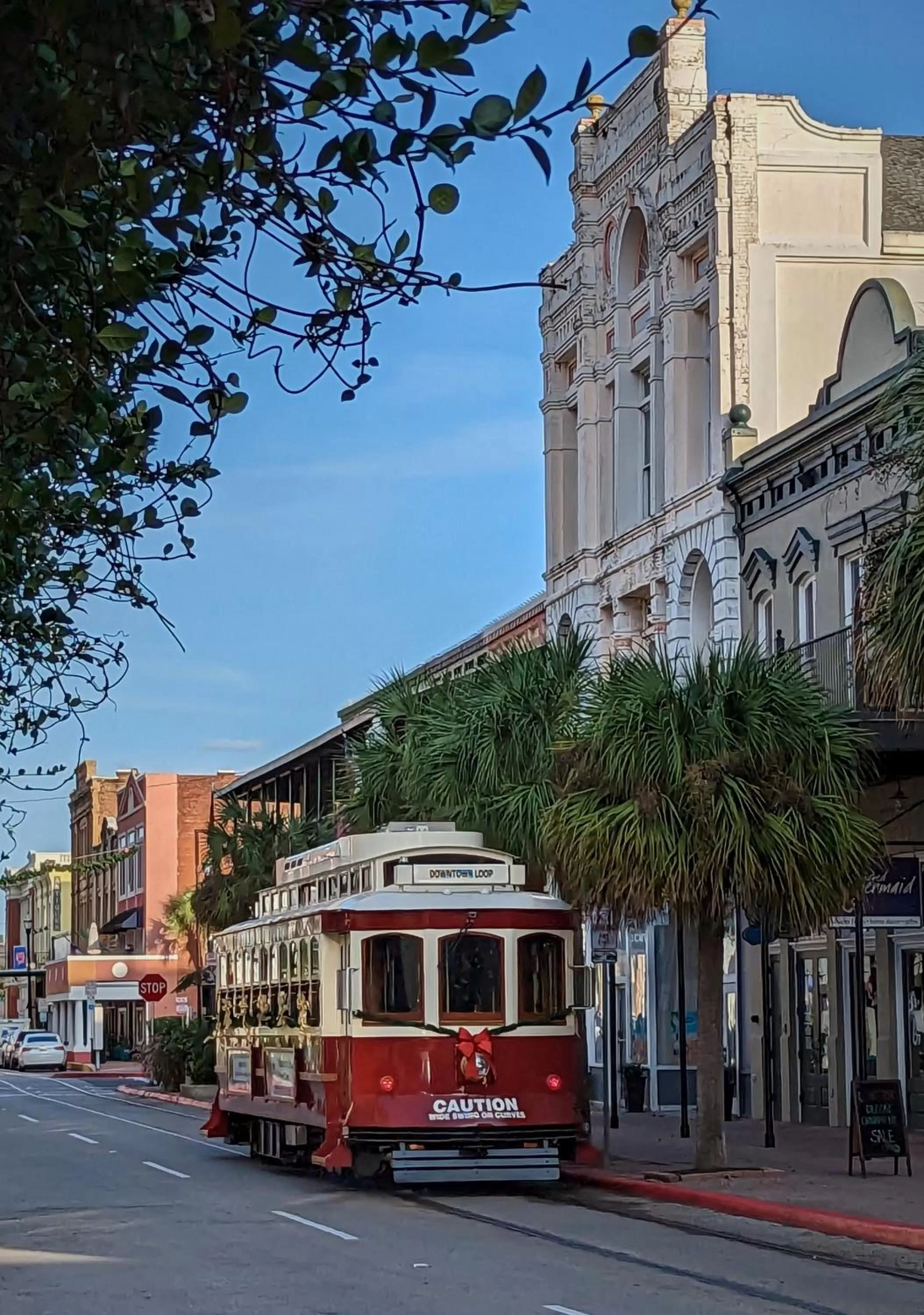 Neighbourhood in The 1890 Freeman House