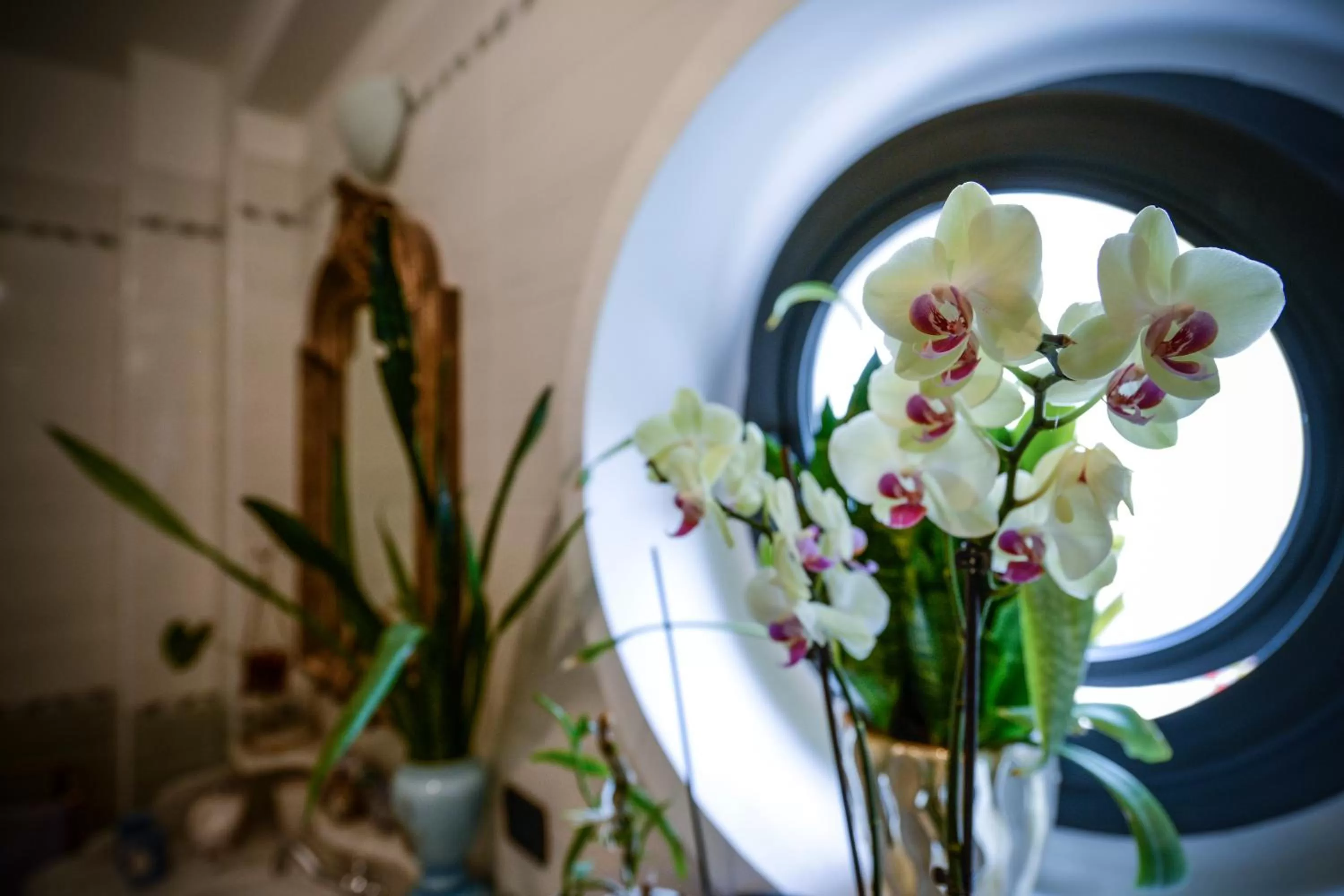 Il Giardino Incantato