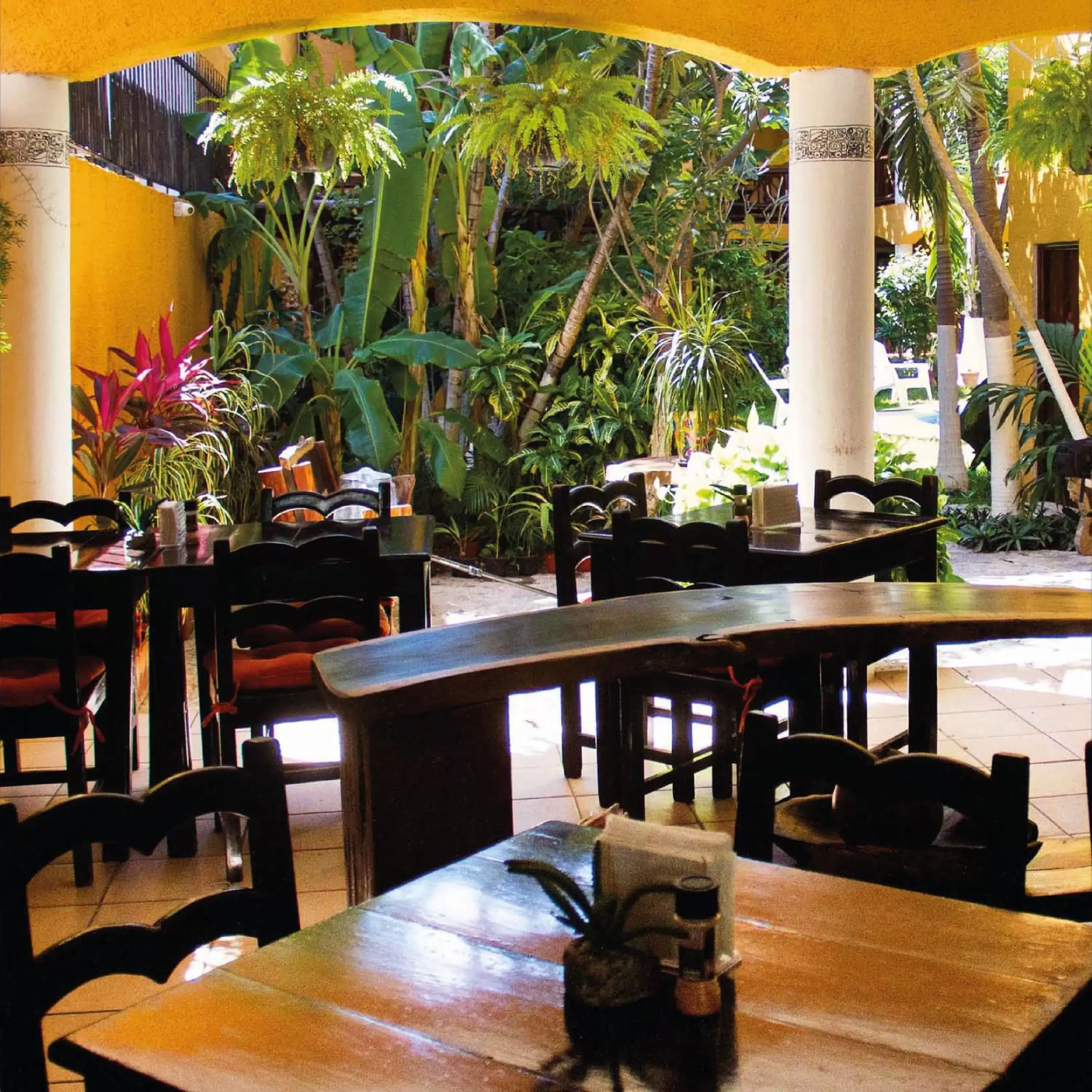 Restaurant/Places to Eat in Hotel Bosque Caribe, 5th Av. zone
