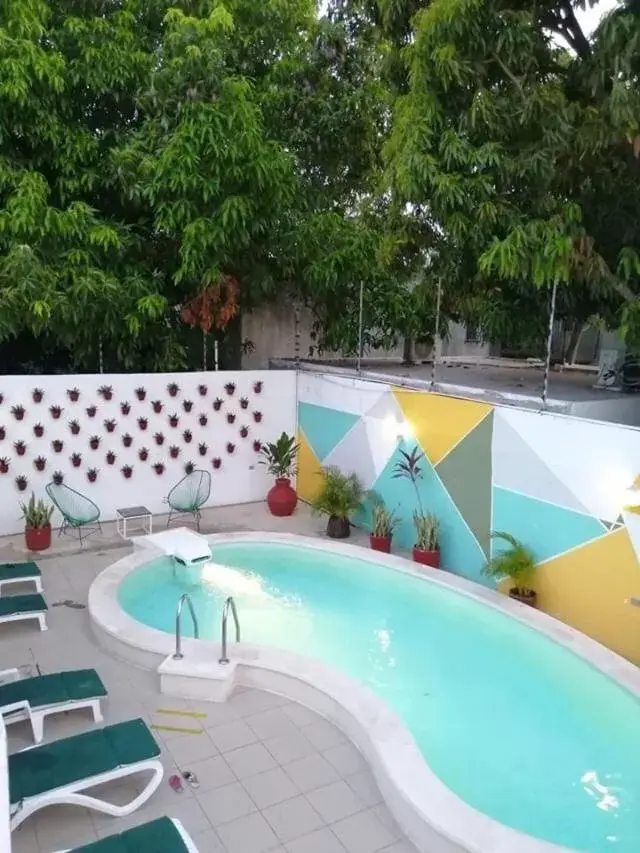 Swimming Pool in Moloch Hostel & Suites