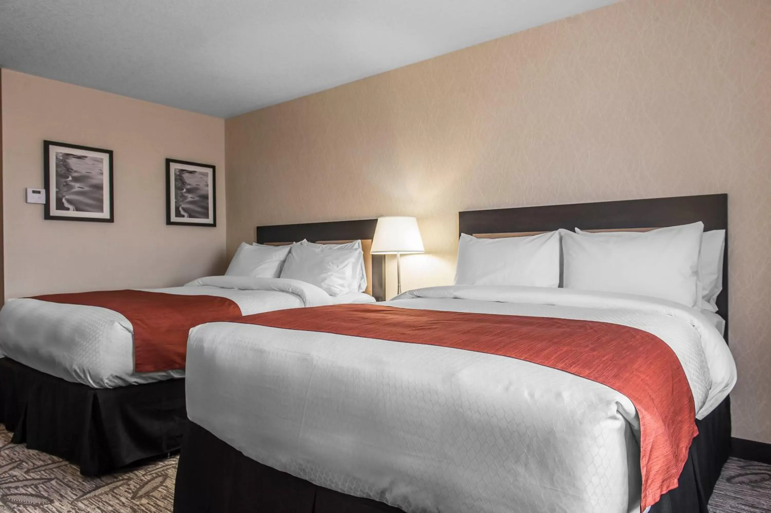Queen Room with Two Queen Beds - Non-Smoking in Quality Inn & Suites Kingston