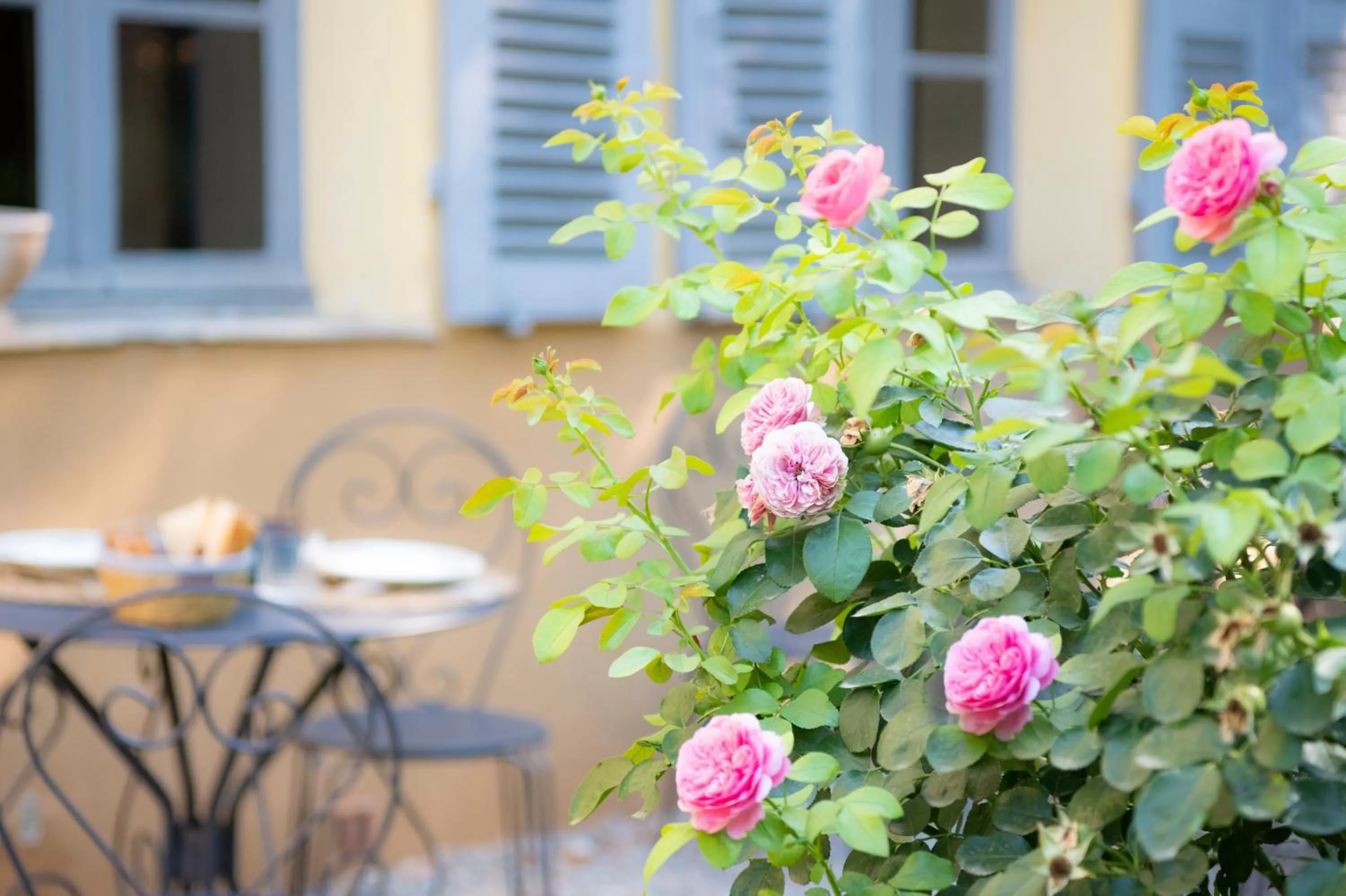 Patio in Maison Sumiane
