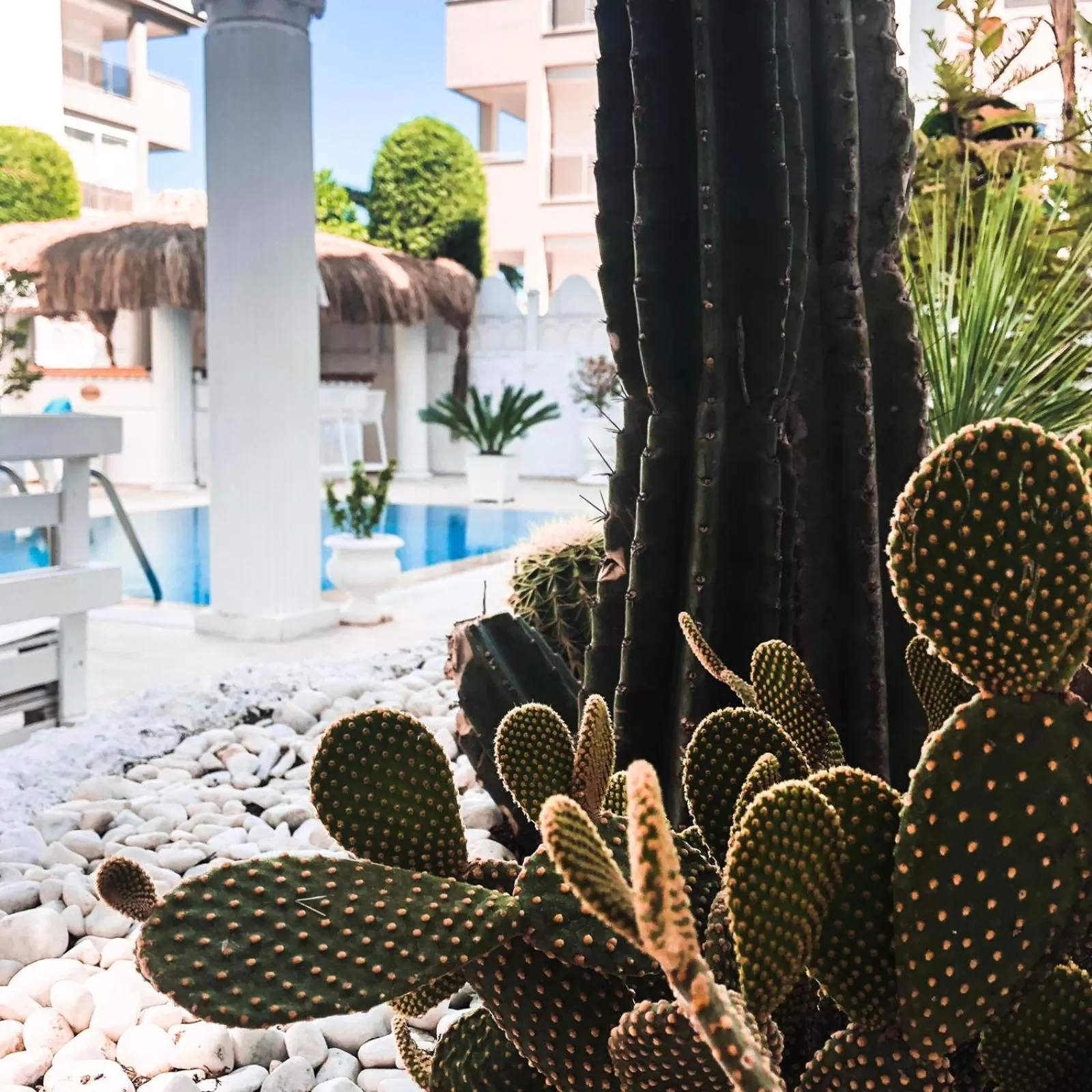 Swimming pool in Conny's Hotel (Adult Only) +18