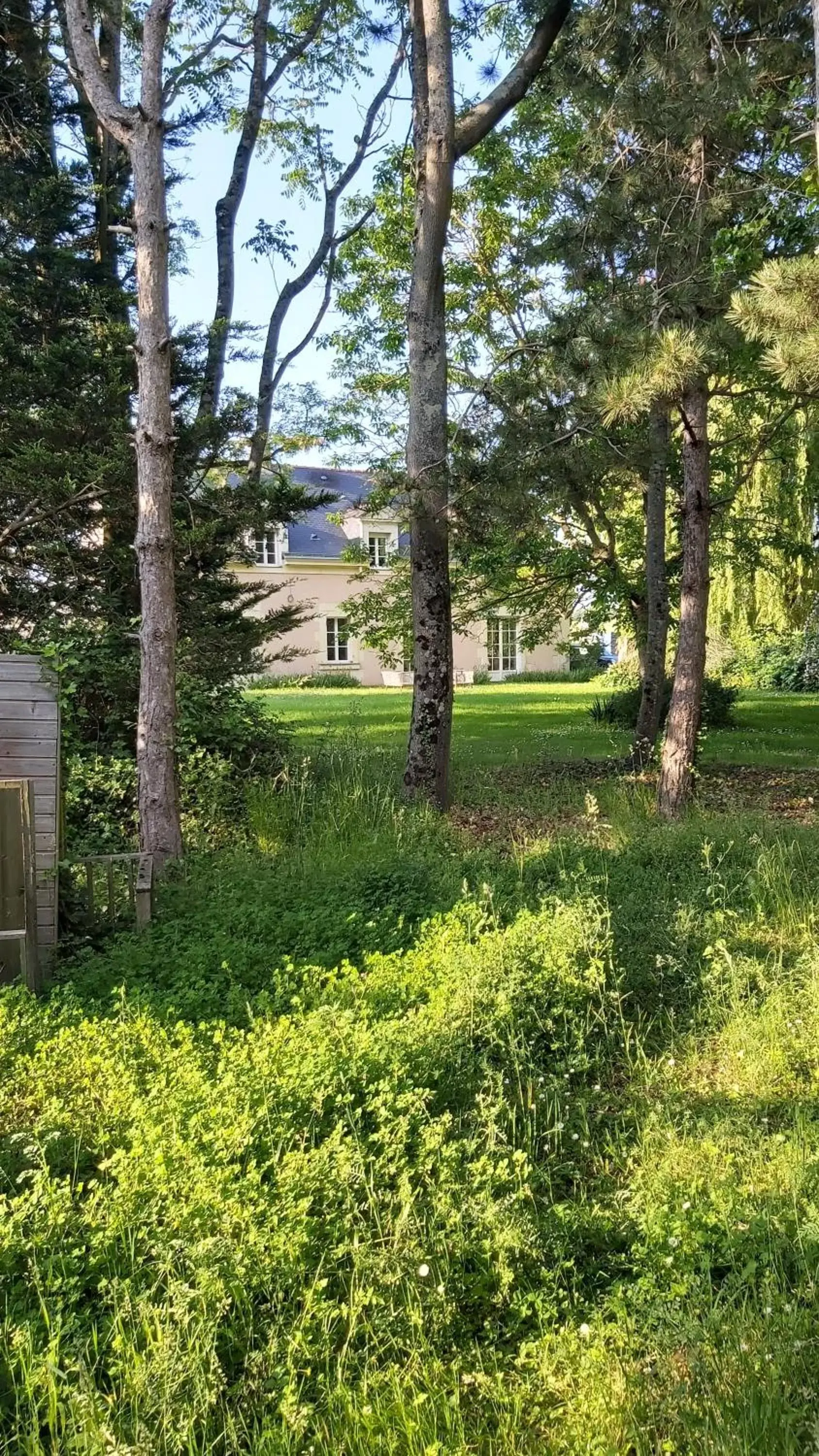 Property building, Garden in malitourne