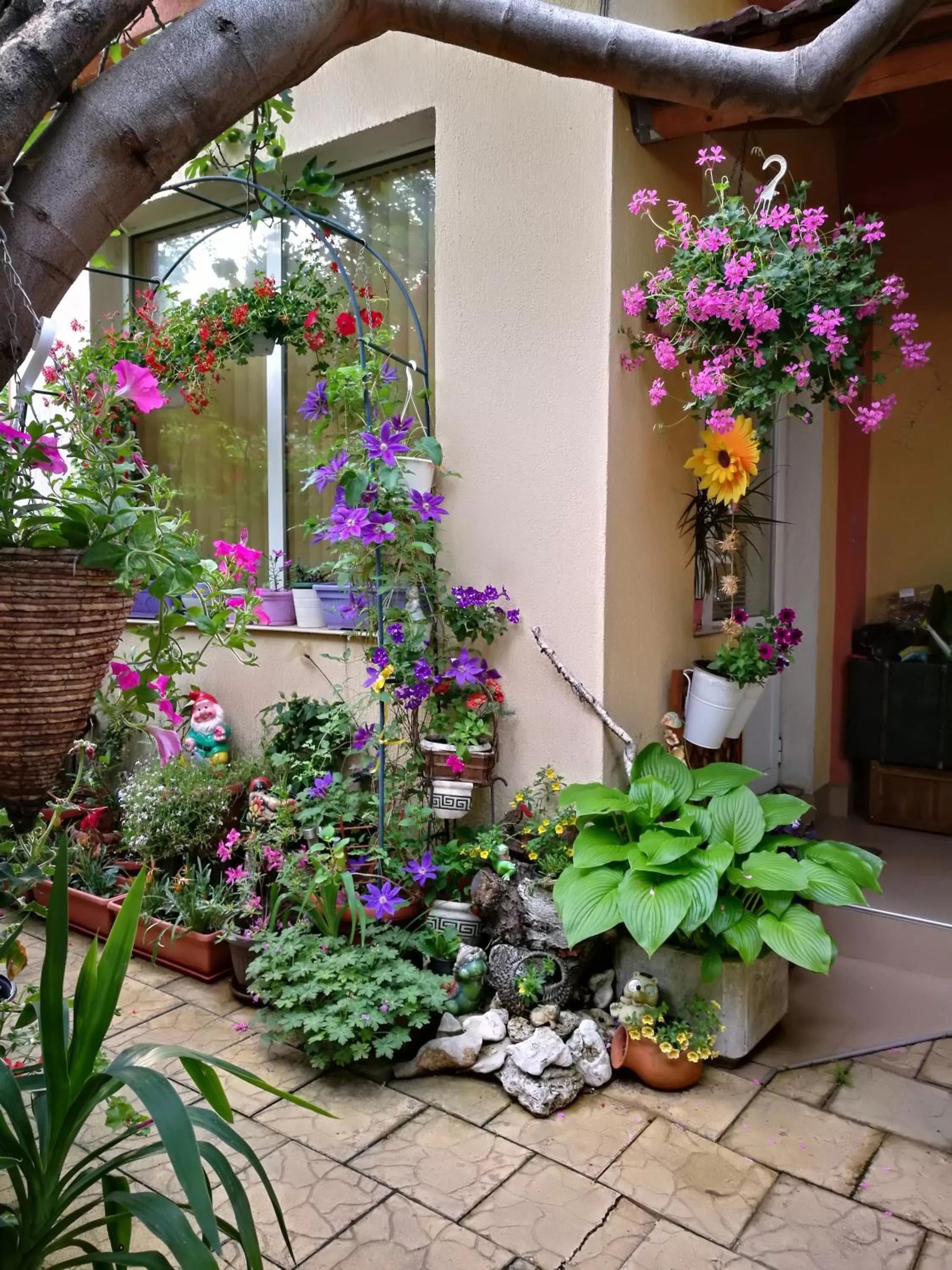 Facade/entrance in Hotel Paradise