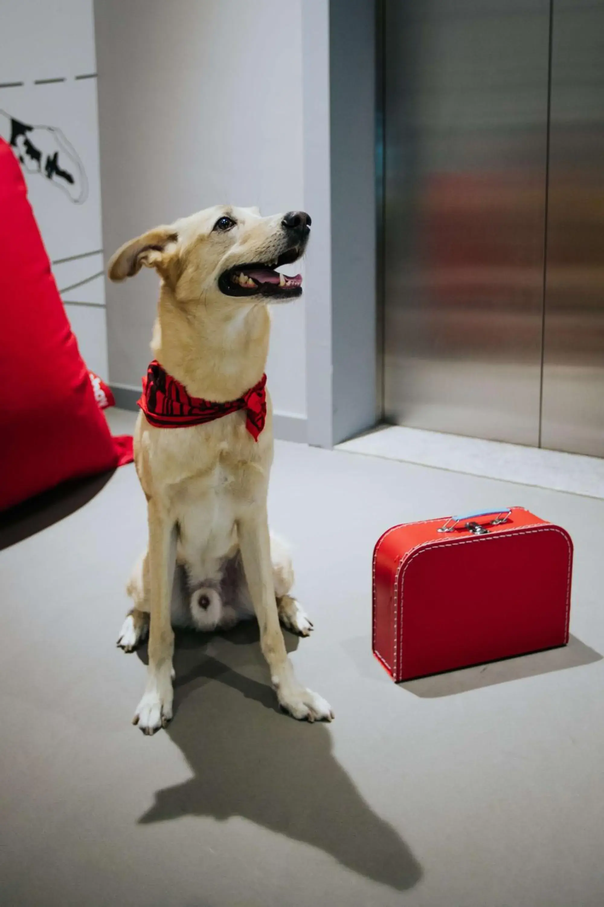 Other, Pets in Radisson RED Dubai Silicon Oasis