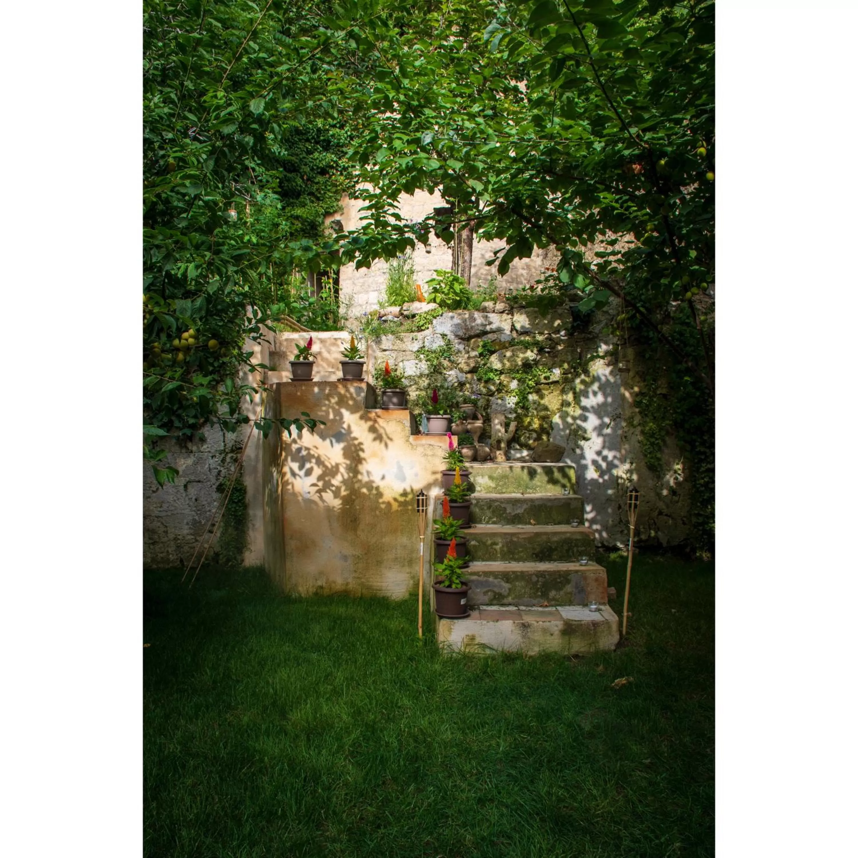Garden in Casa Vayu - Rooms & Garden