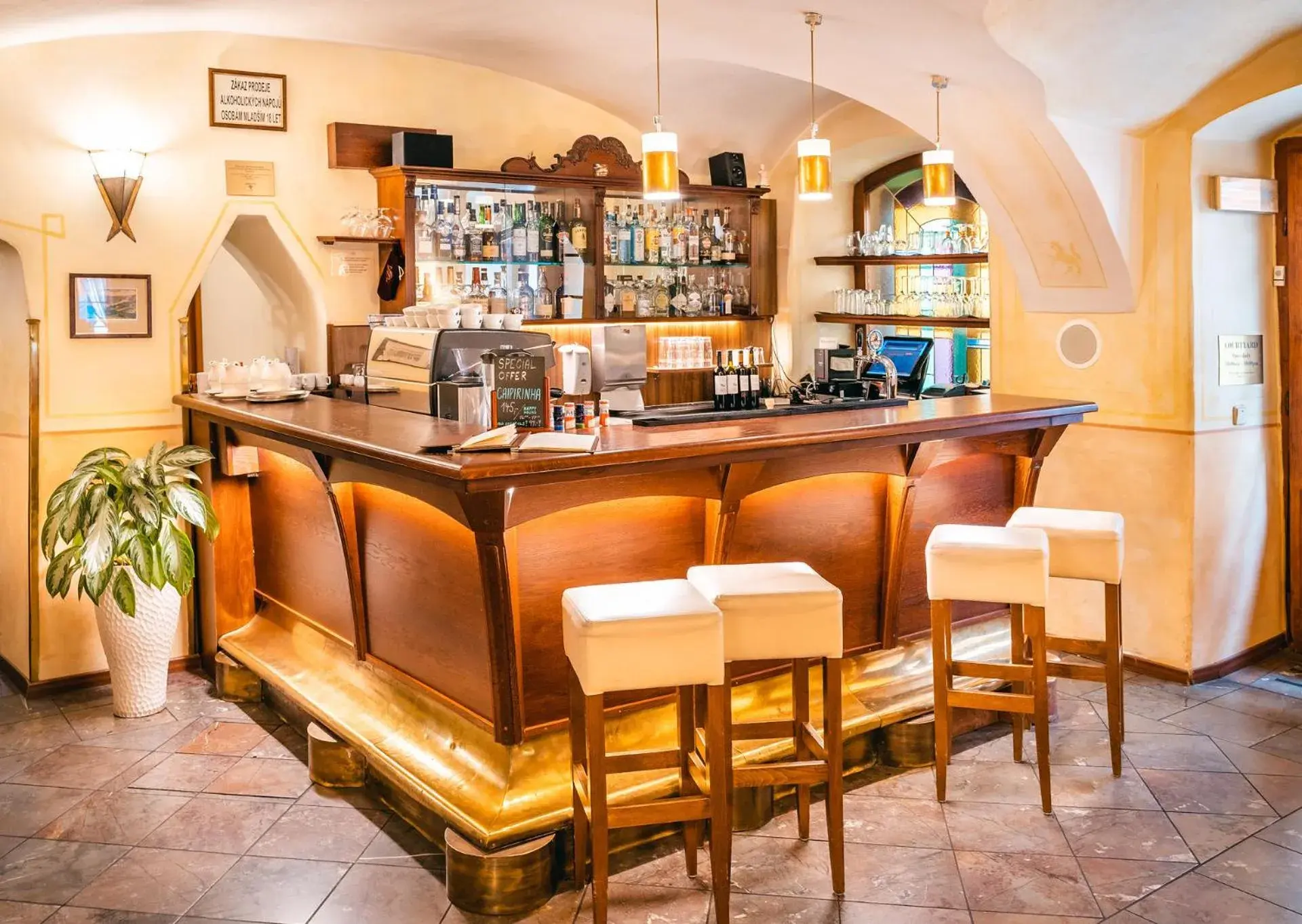Lobby or reception, Lounge/Bar in Hotel Elite Prague