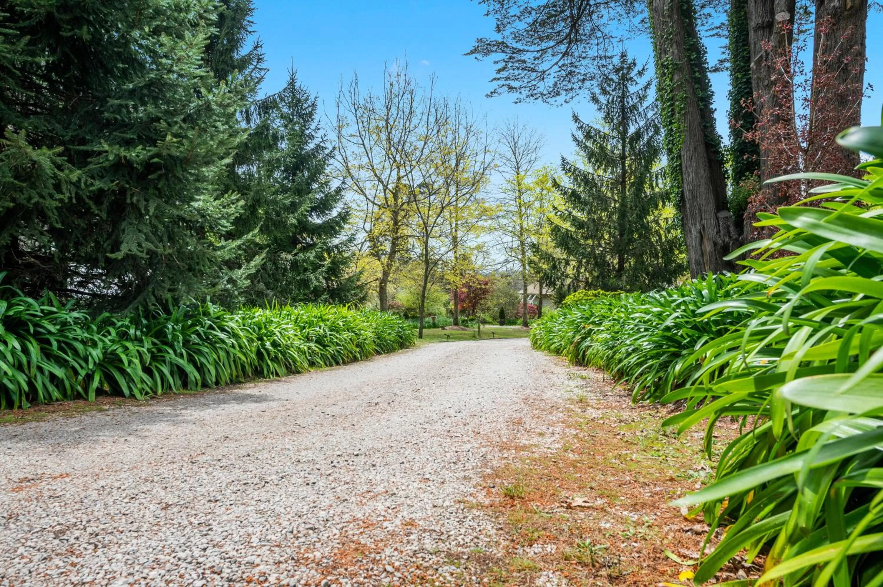 Natural landscape in Parklands Country Gardens & Lodges Blue Mountains