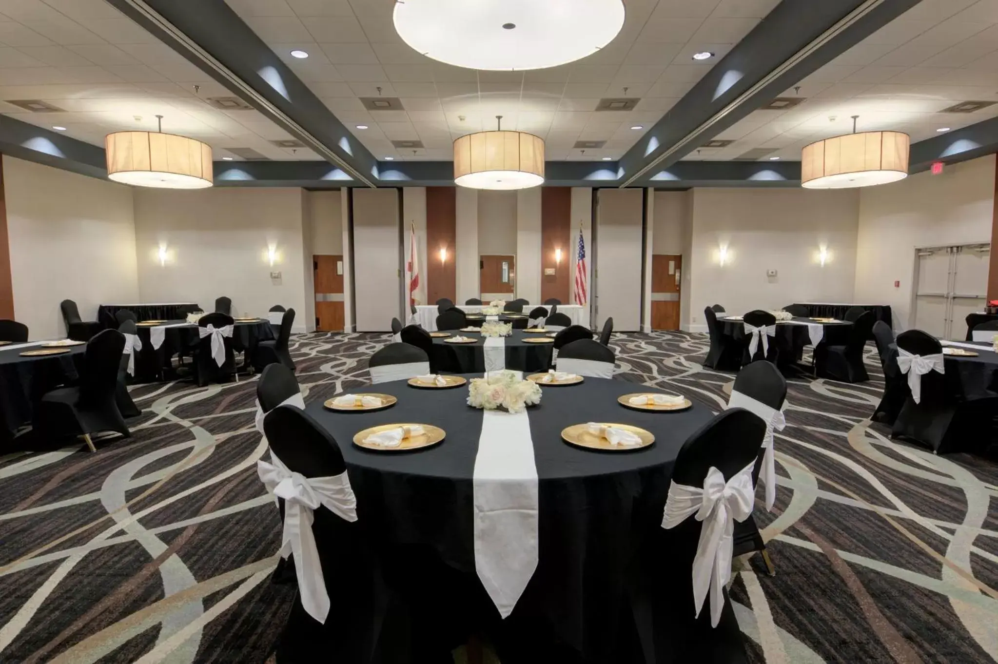 Banquet/Function facilities in Holiday Inn St. Petersburg N - Clearwater, an IHG Hotel