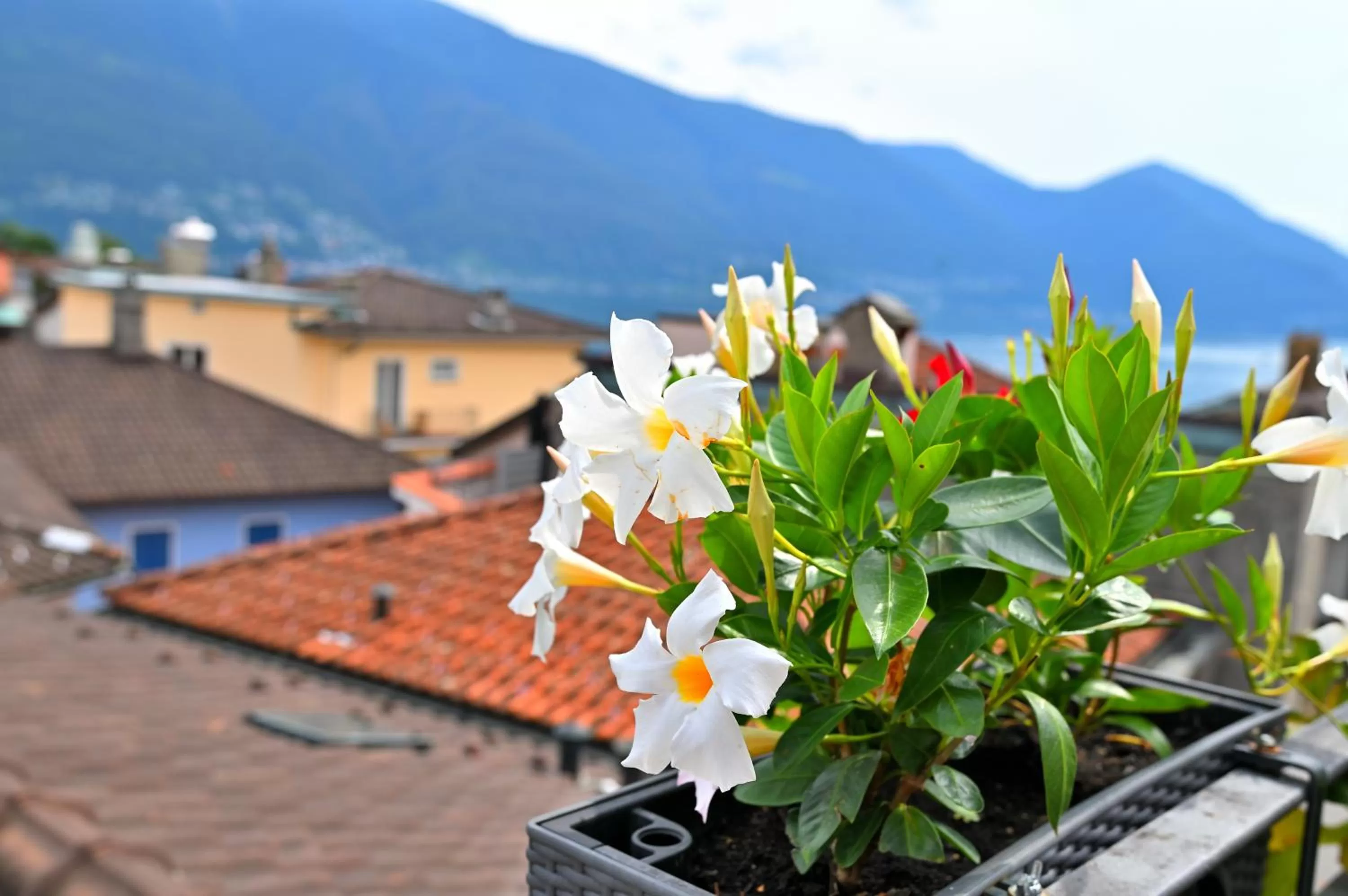 Property building in Hotel Garni Golf