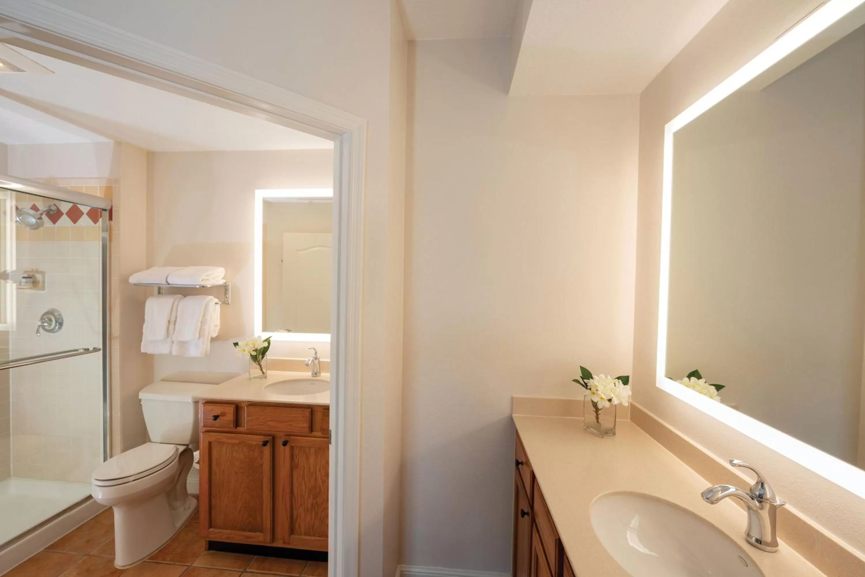 Bathroom in Sheraton Vistana Villages Resort Villas, I-Drive Orlando