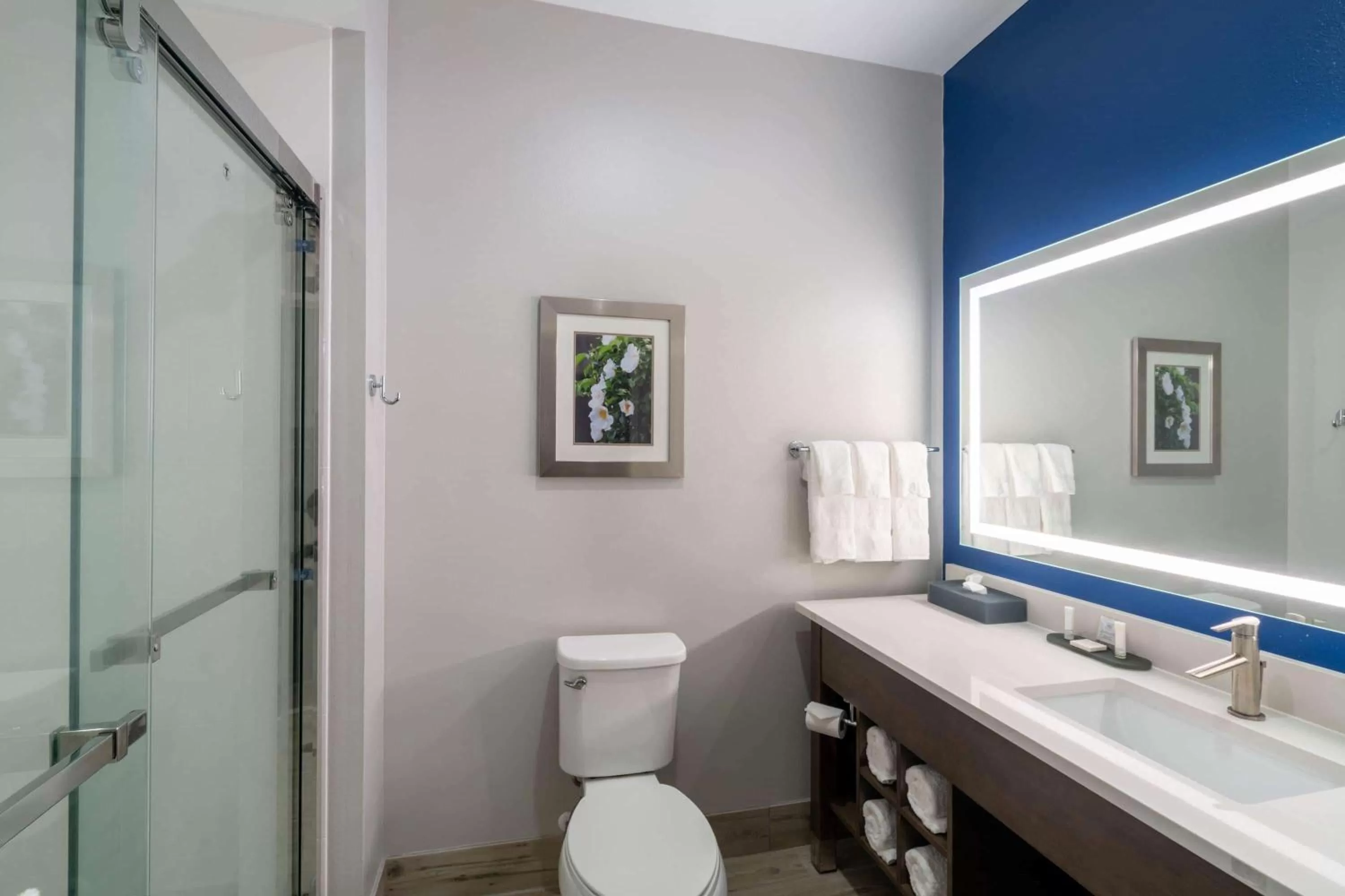 Bathroom in La Quinta Inn & Suites by Wyndham Tifton
