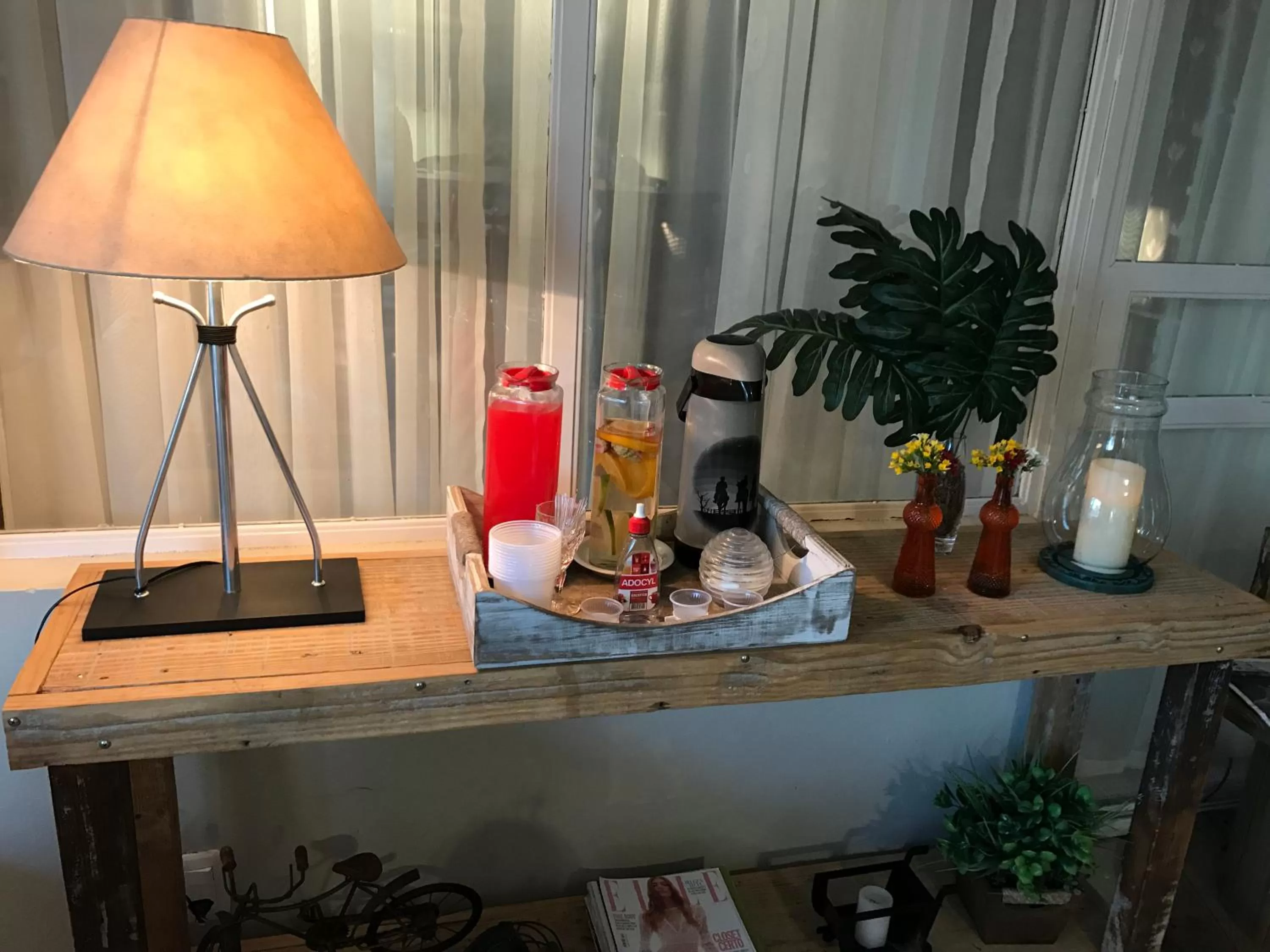 Decorative detail in Hotel Ibicui