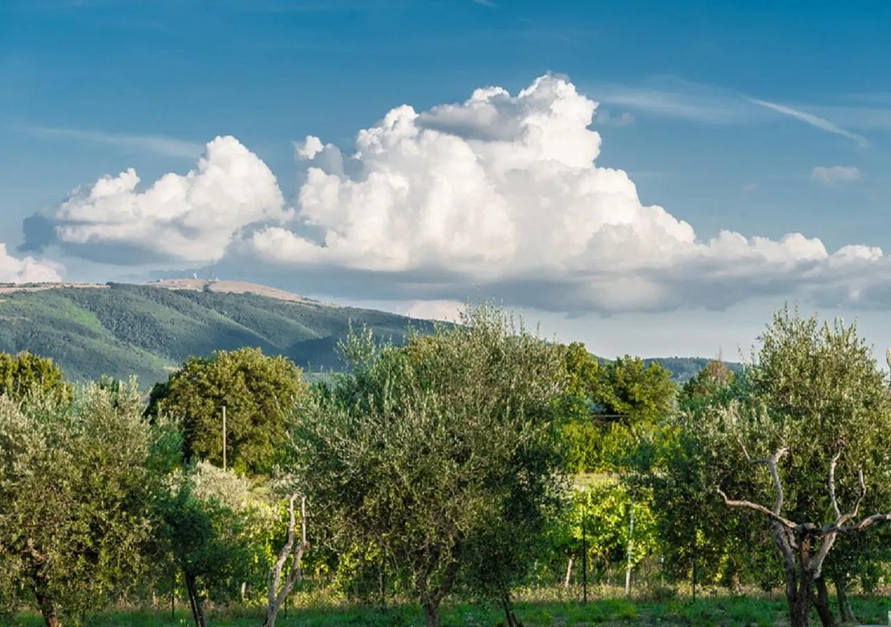 Natural landscape in Relais Paradiso Resort & Spa
