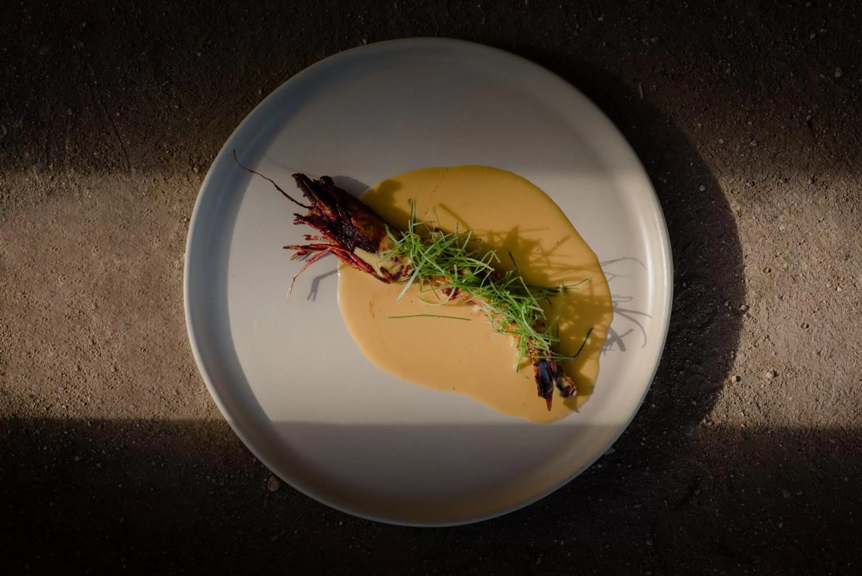 Restaurant/places to eat in Paradero Todos Santos - Exclusive experiences included Restaurant/places to eat in Paradero Todos Santos - Exclusive experiences included