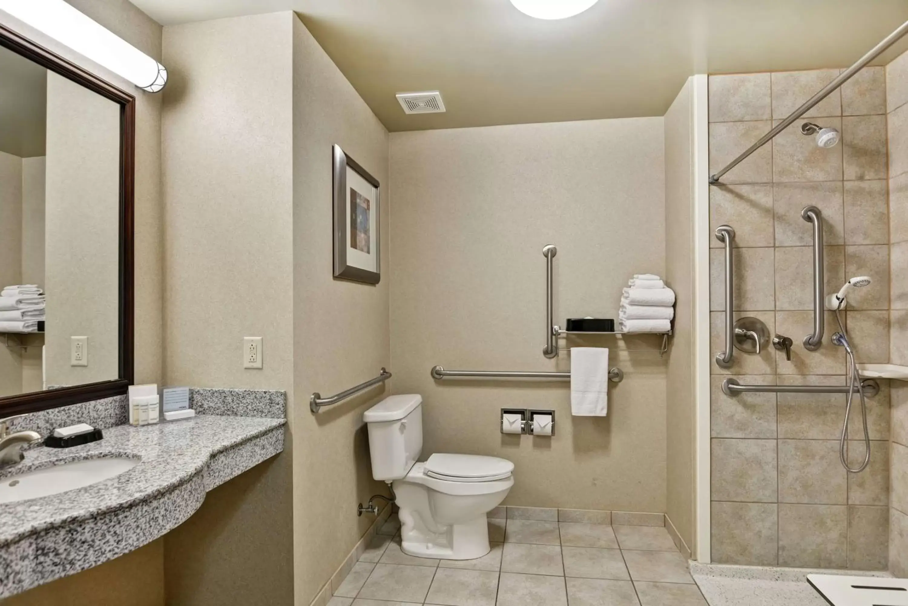 Bathroom in Hampton Inn Sayre