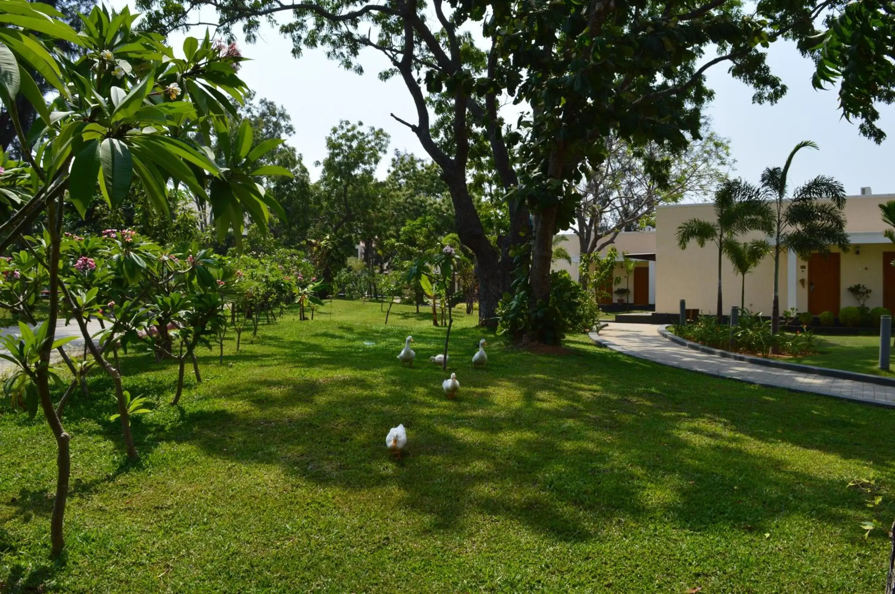Garden view, Garden in Welcomhotel by ITC Hotels, Kences Palm Beach, Mamallapuram