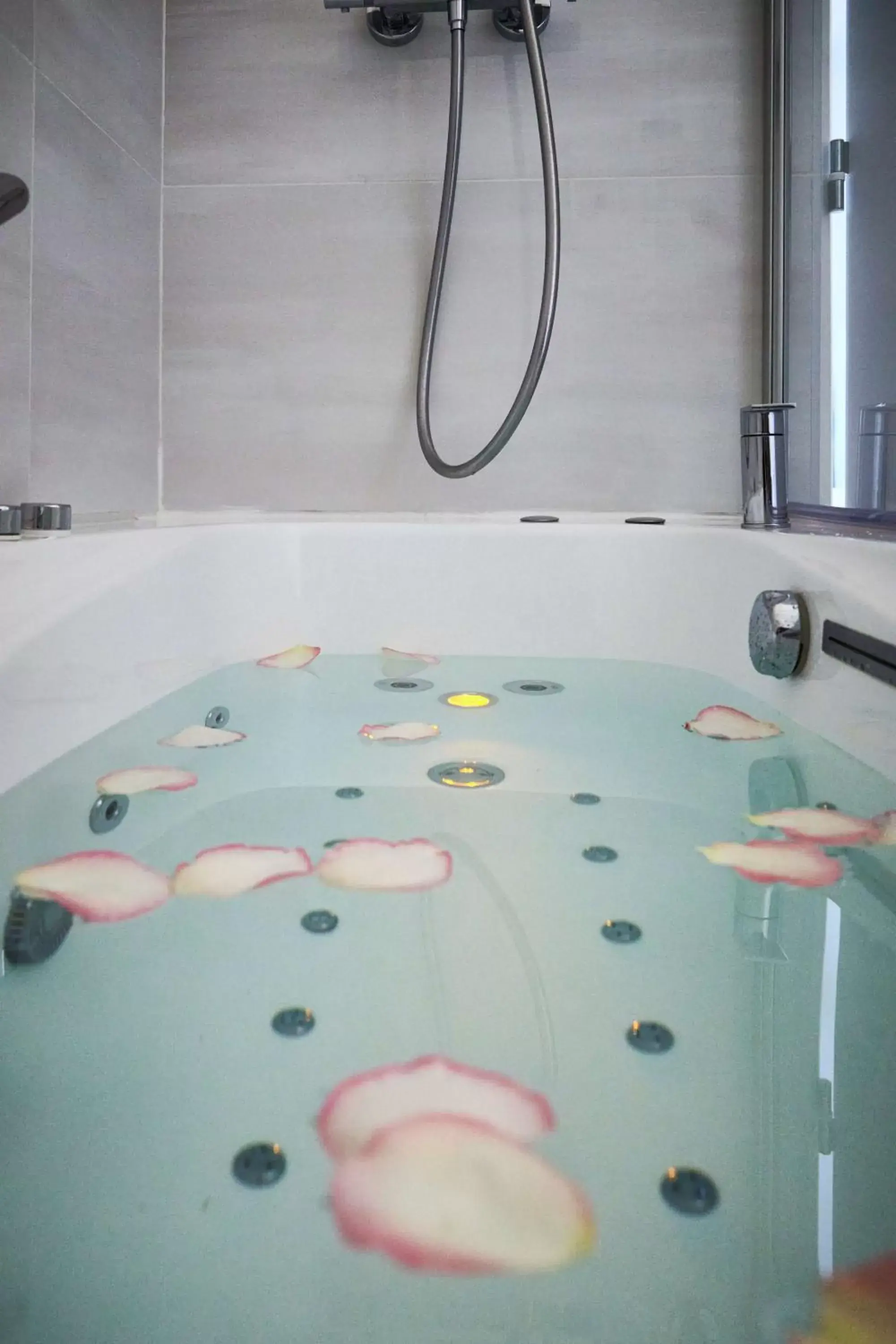 Hot Tub, Bathroom in Best Western Plus Hotel Carlton Annecy
