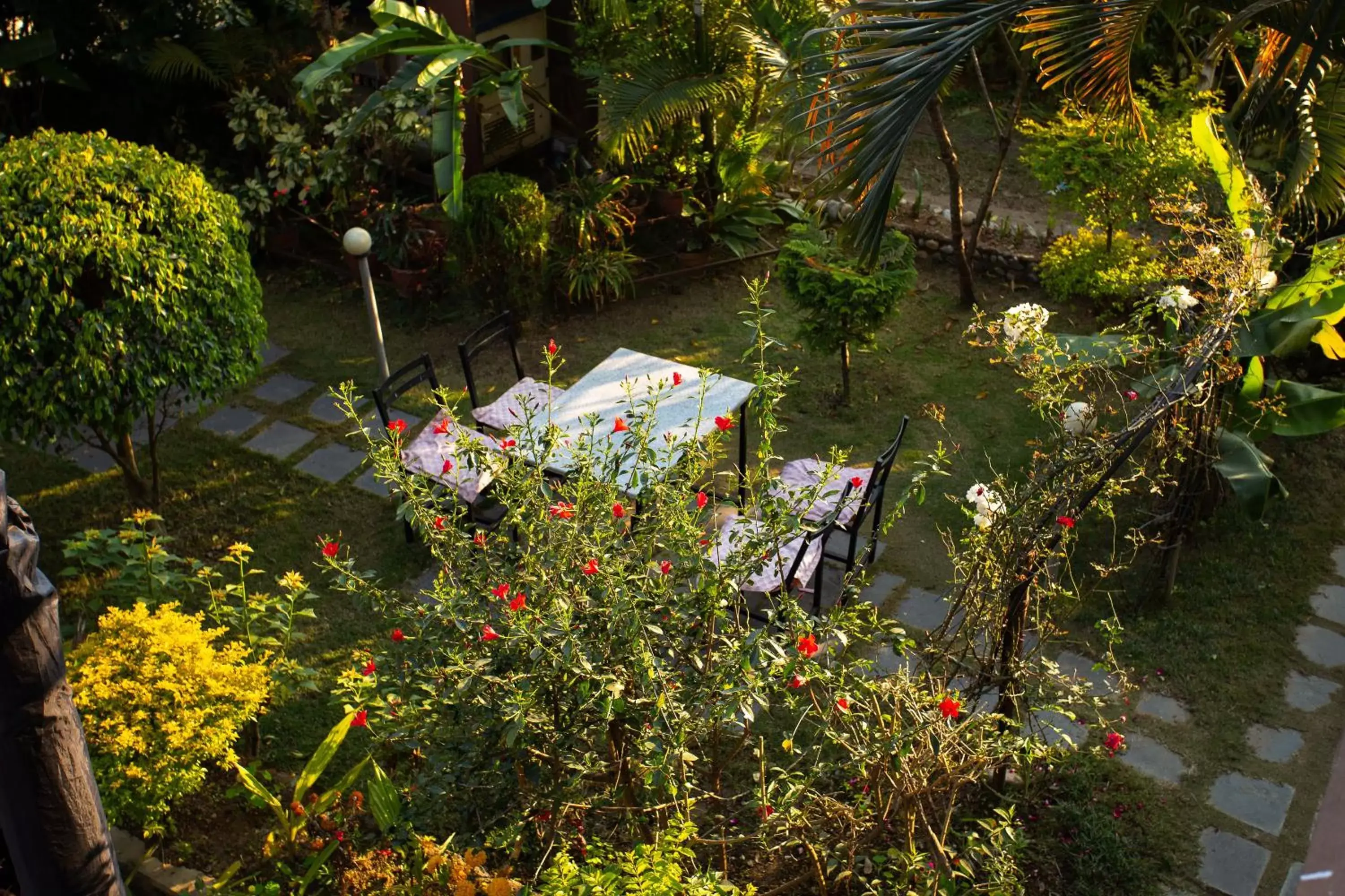 Patio in Hotel Orchid