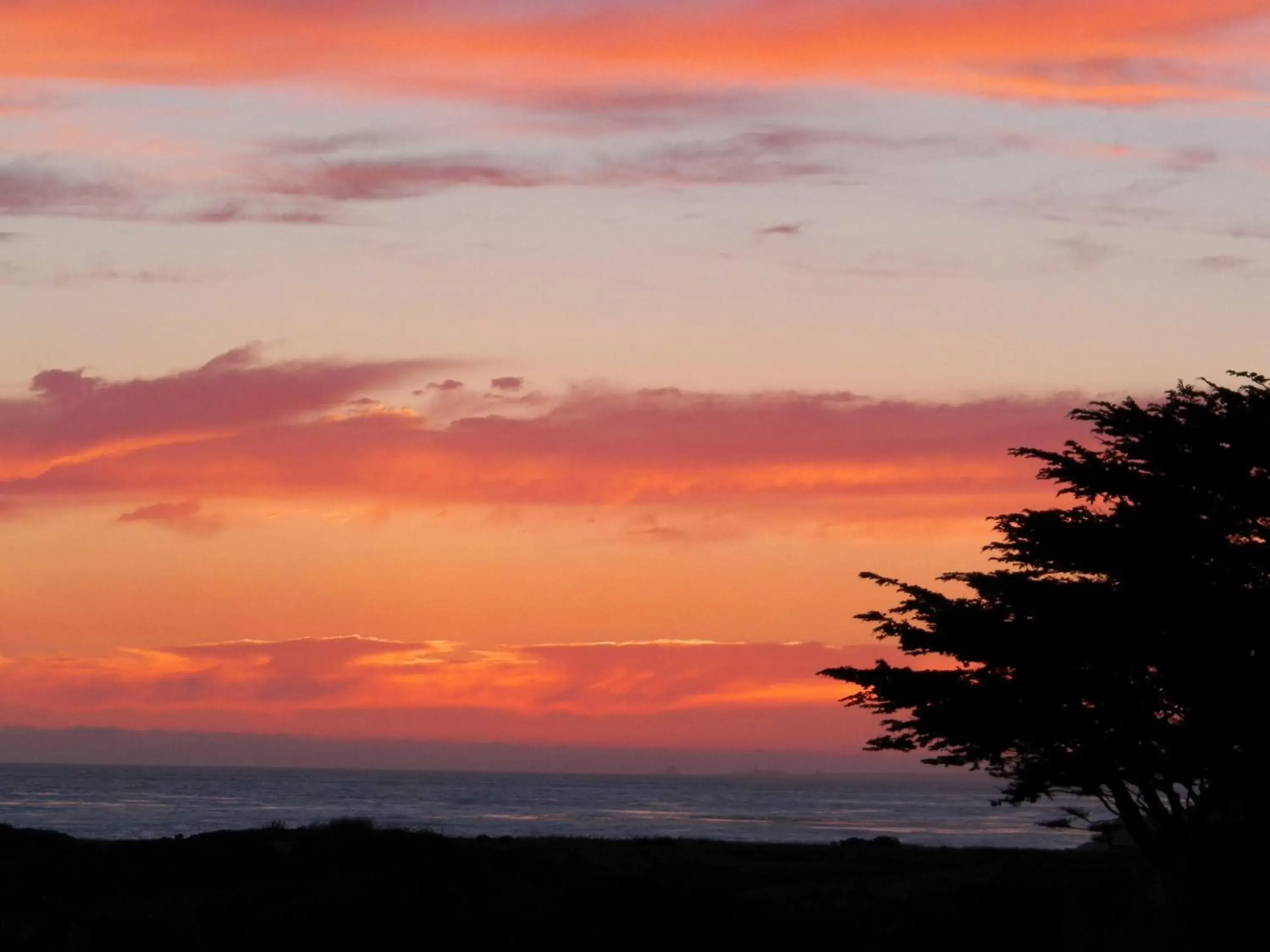 Natural landscape in Sea Otter Inn