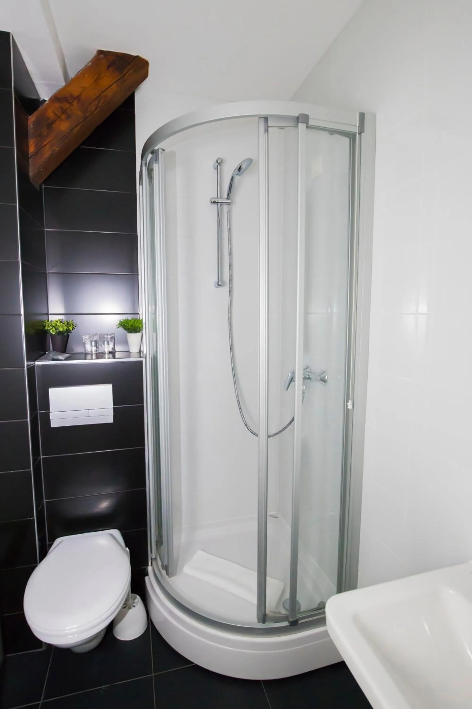 Shower in Art Hotel Like