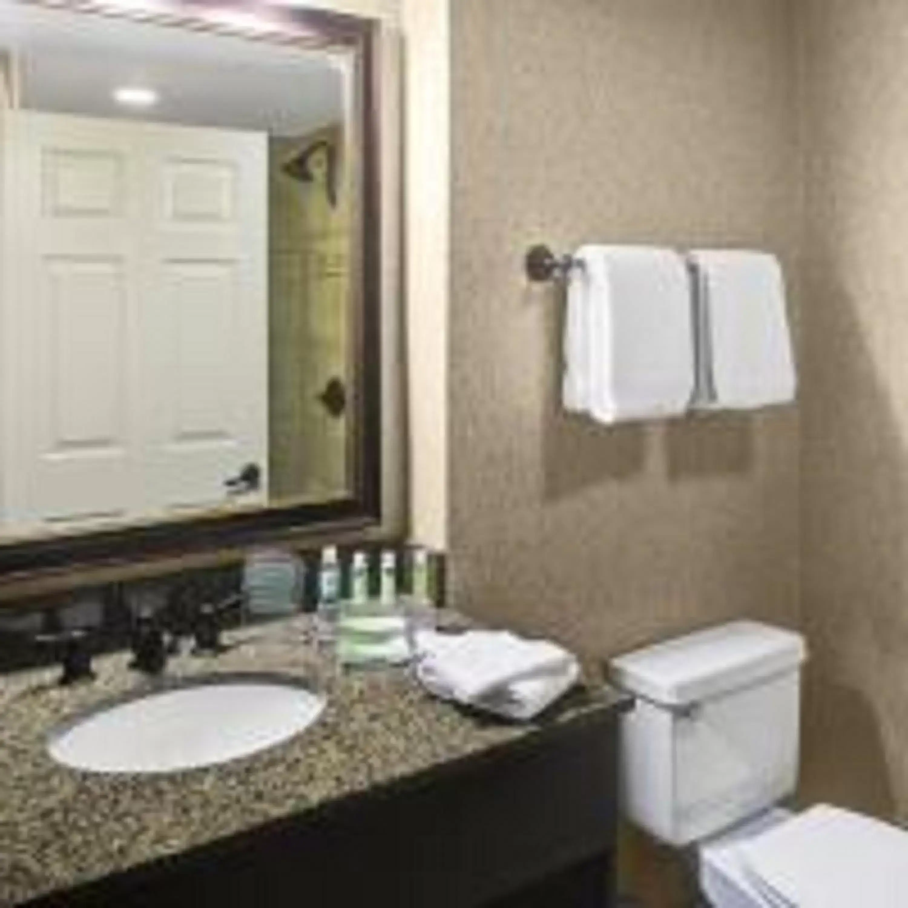 Bathroom in Holiday Inn Express Hotel & Suites Atlanta Buckhead, an IHG Hotel