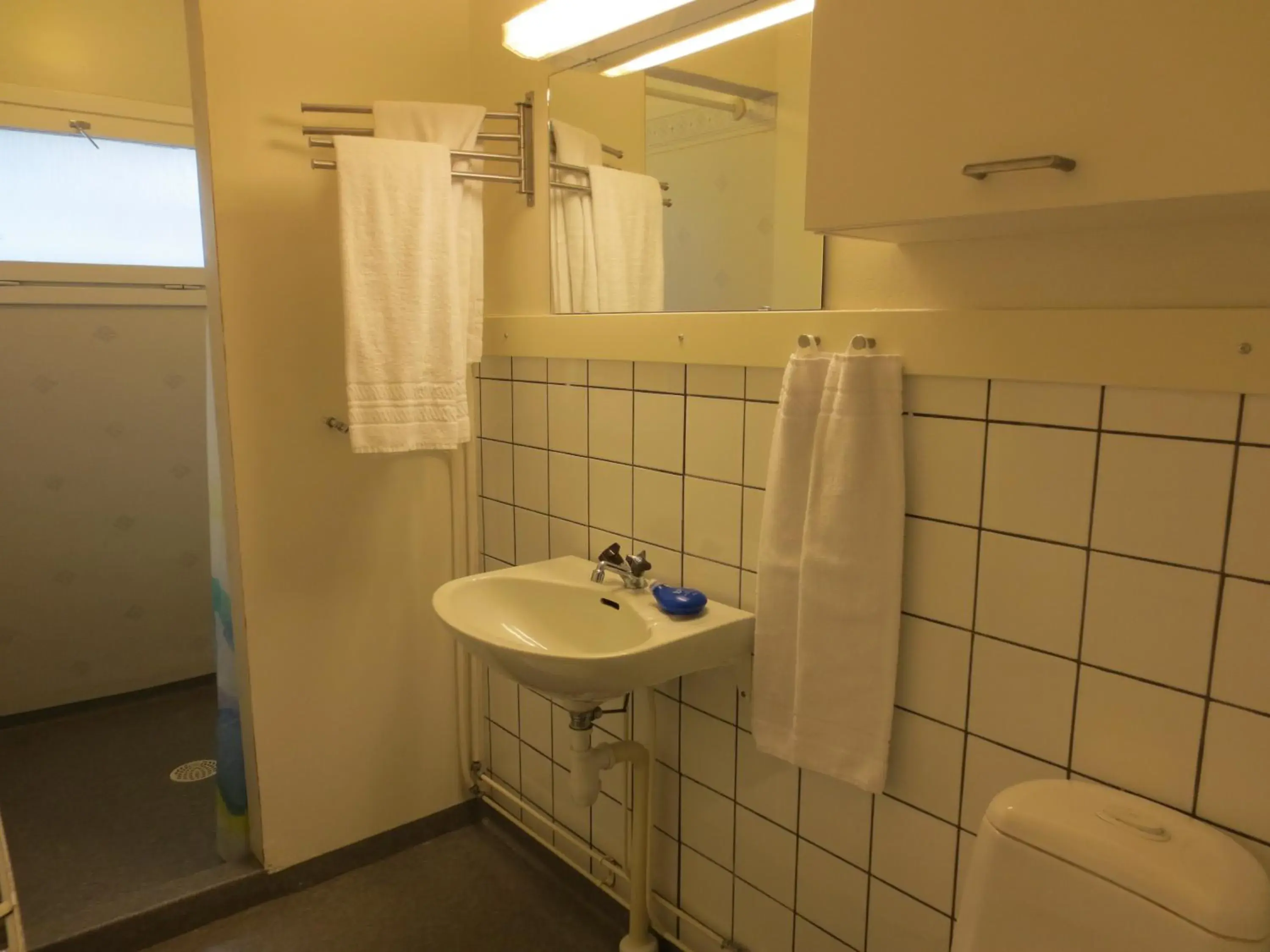 Bathroom in Hotel Göingehof