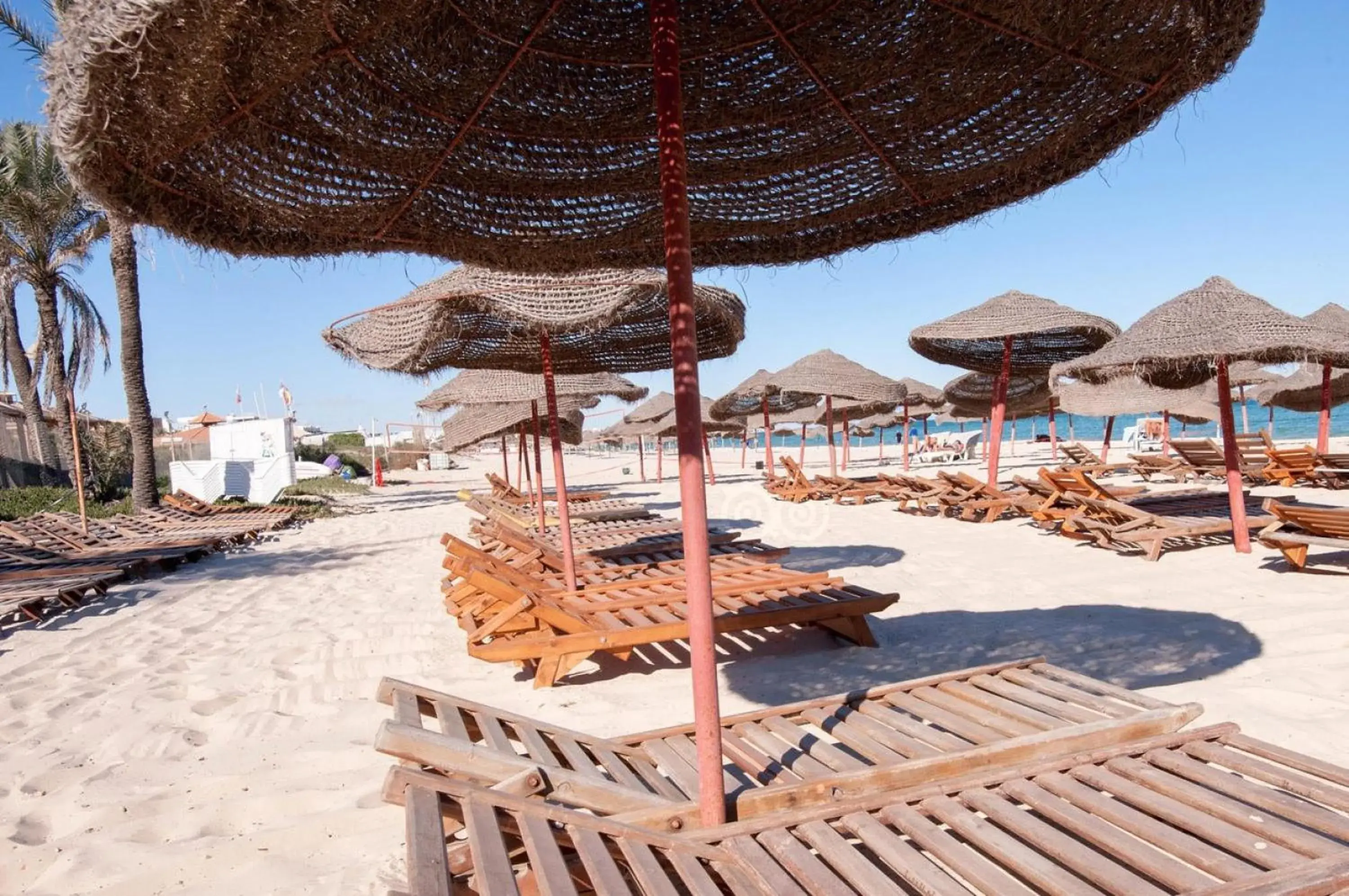 Beach in Riadh Palms- Resort & Spa