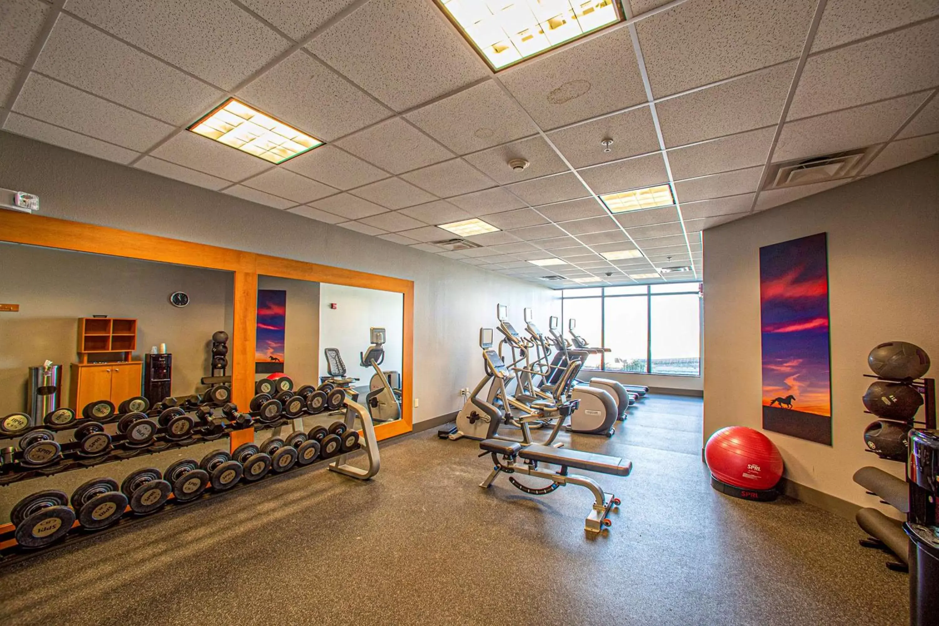 Fitness centre/facilities, Fitness Center/Facilities in Hilton Garden Inn Rapid City