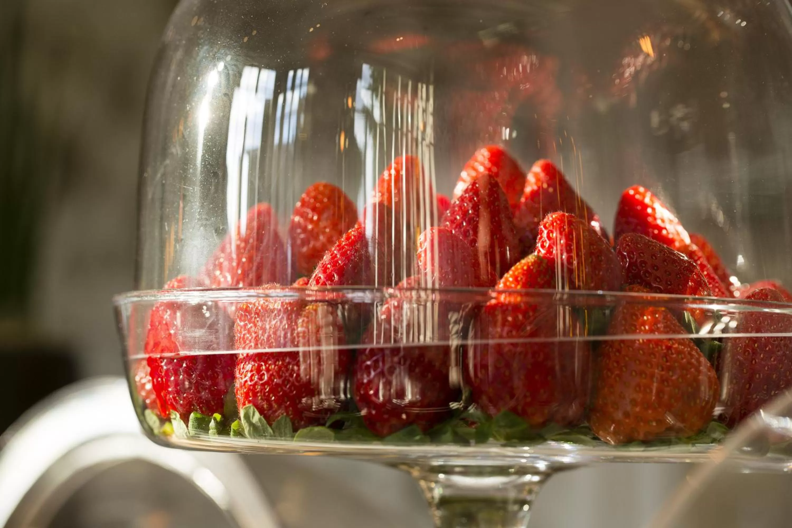 Buffet breakfast in Boutique Hotel Des XV