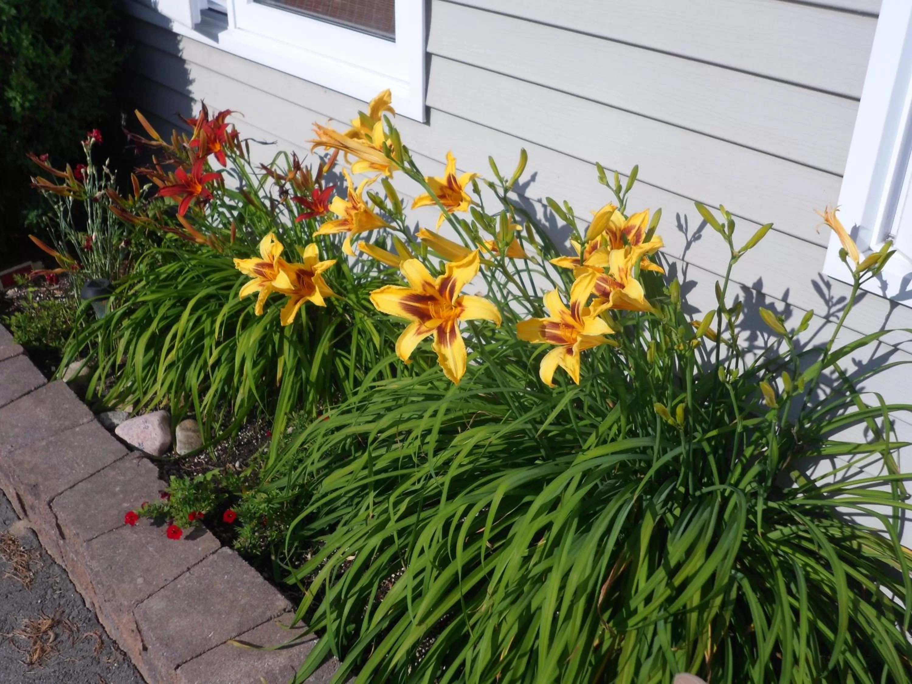 Decorative detail in The Silver Birch Motel