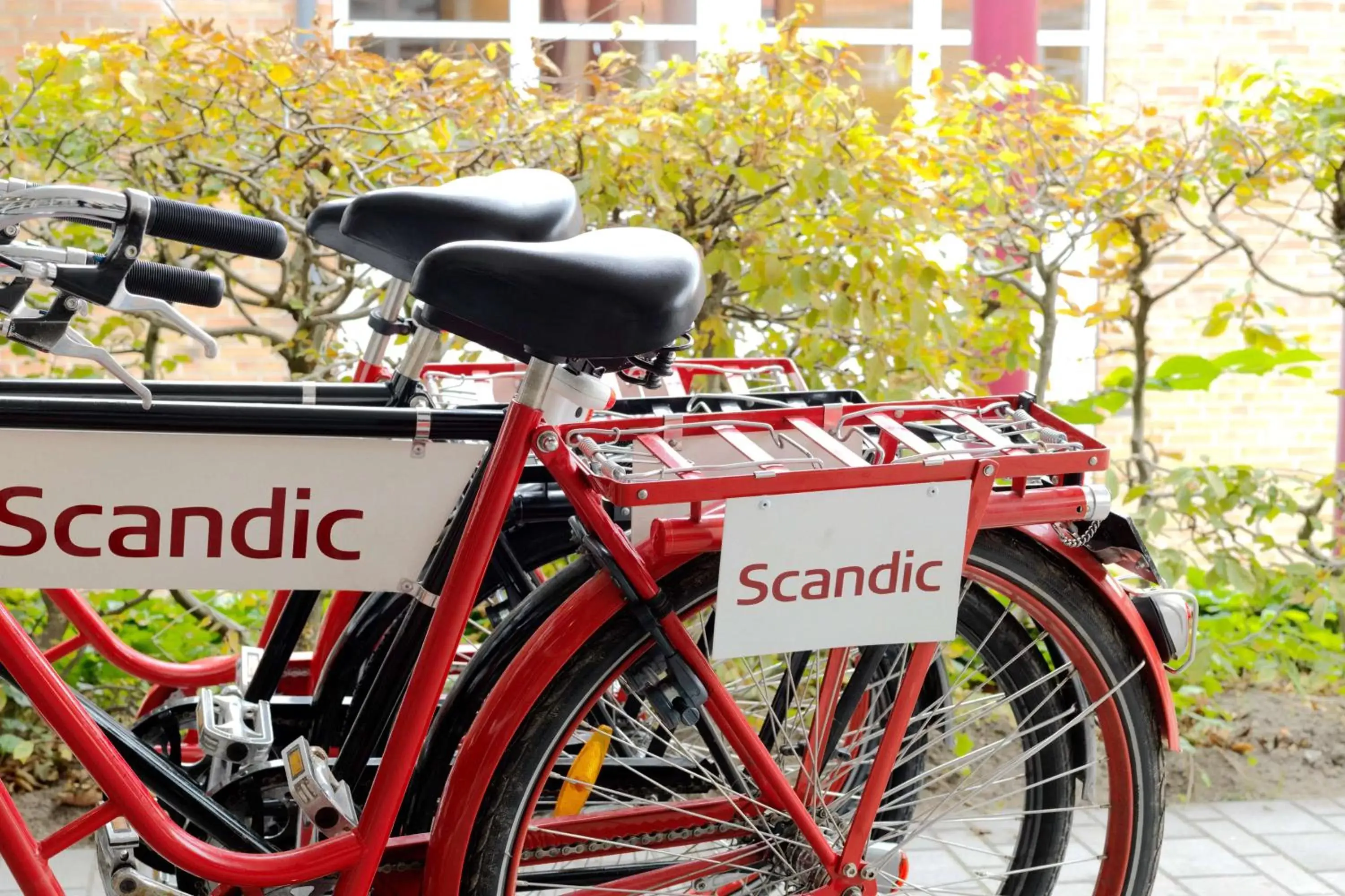 Sports, Biking in Scandic Front